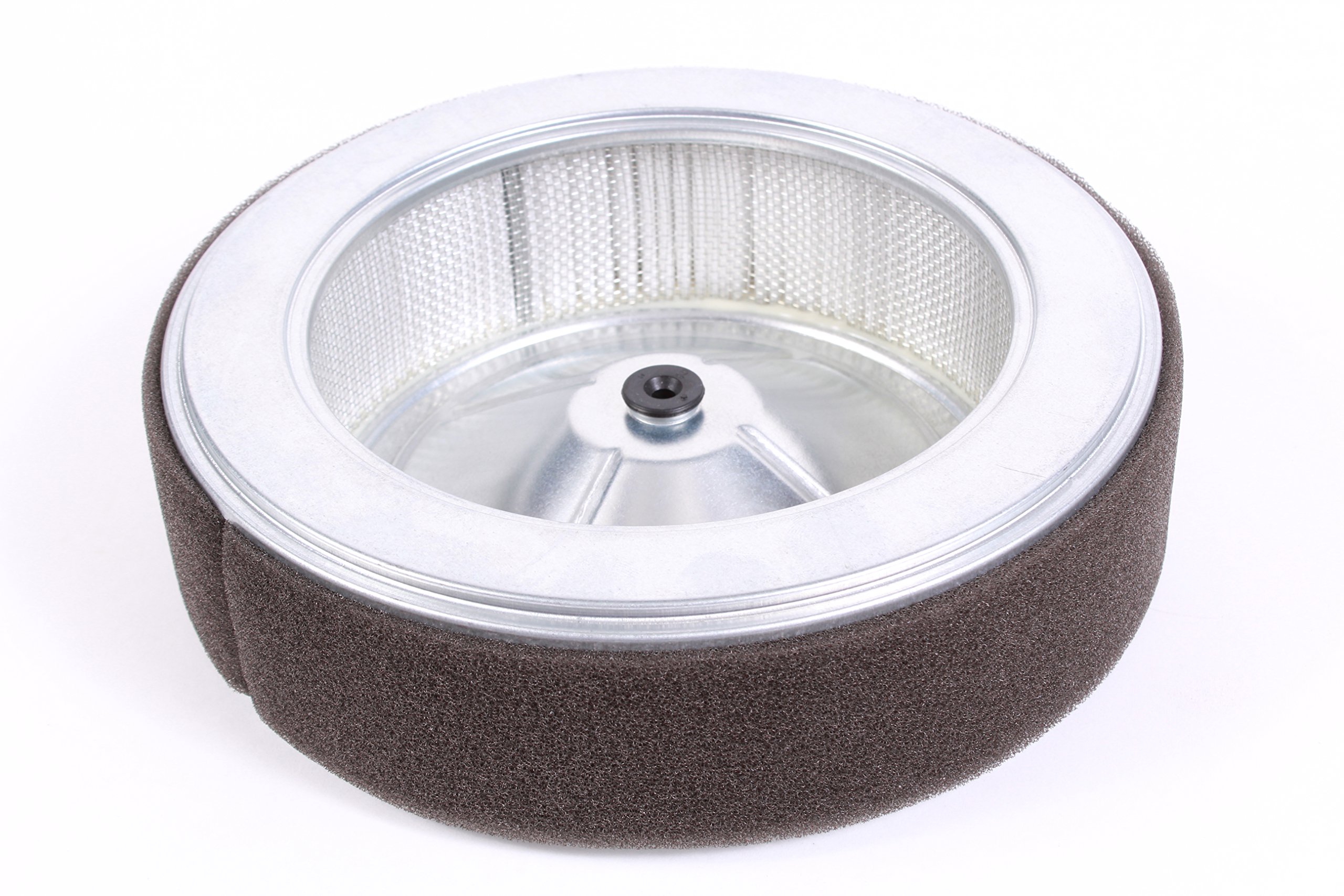 Amazon.com: Honda 17210-Z6L-010 Air Cleaner Element : Automotive
