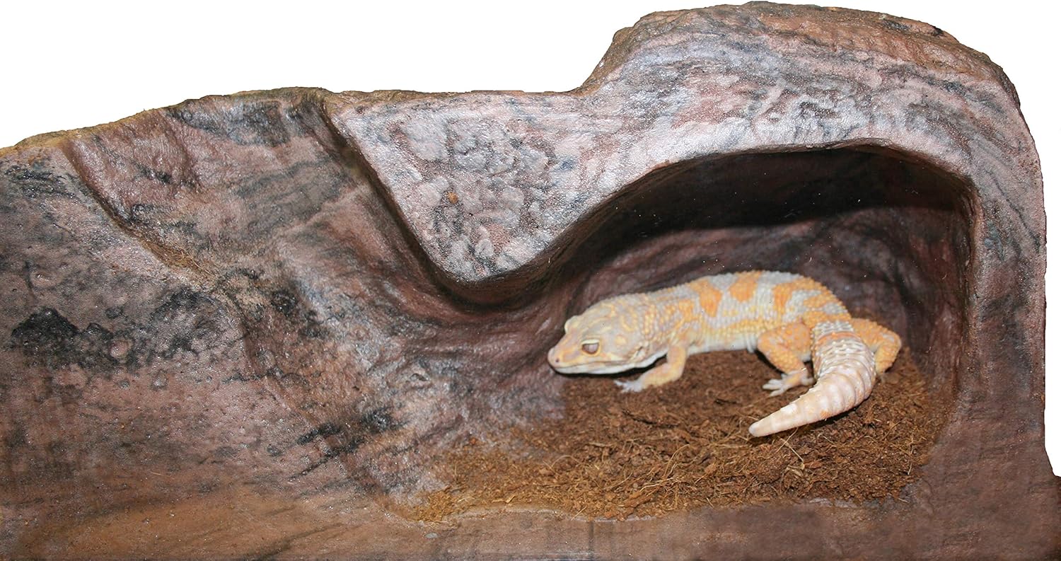 Large Burrow Earth