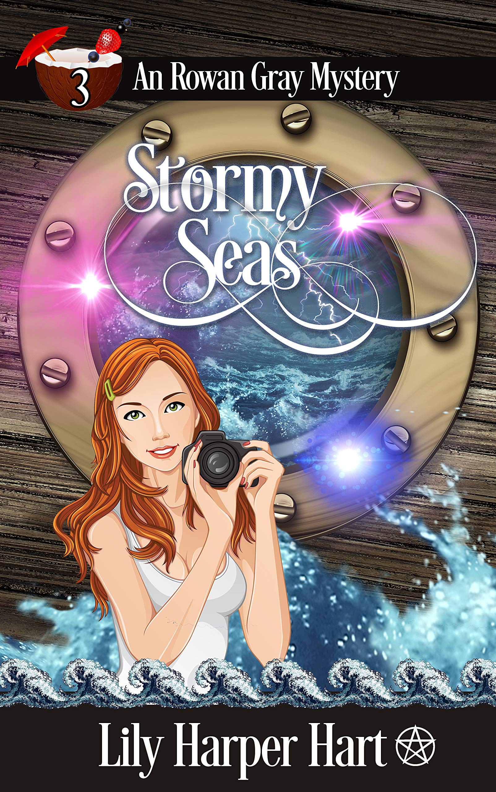 Stormy Seas (A Rowan Gray Mystery Book 3)