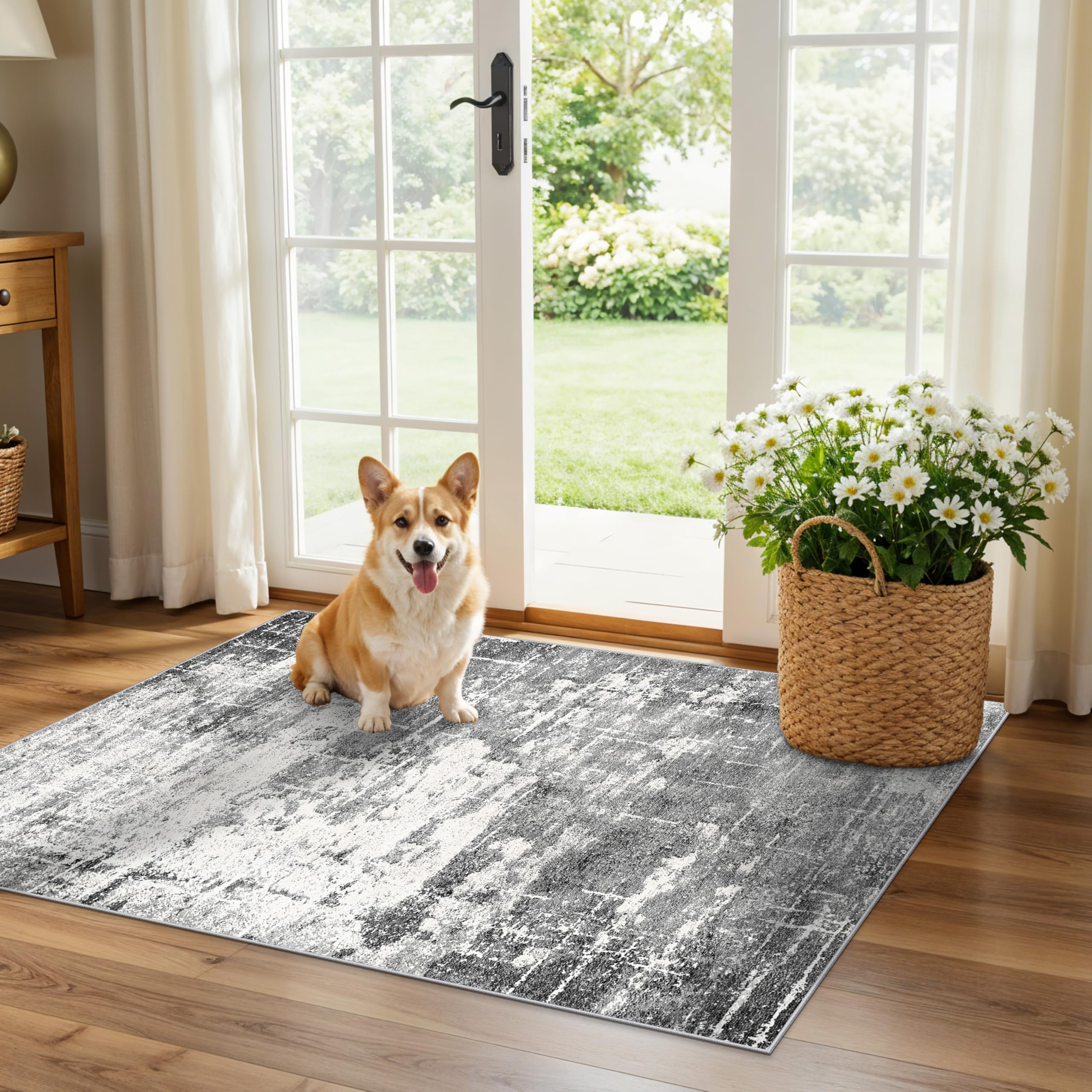 Washable 2x3 Entryway Area Rugs: Abstract Water Resistant Kitchen Rug Non-Slip Durable Doormat for High-Traffic Area Soft Bedroom Beside Carpet Indoor Low Pile Floor Mat for Families(2x3,Black/Grey) — image 1