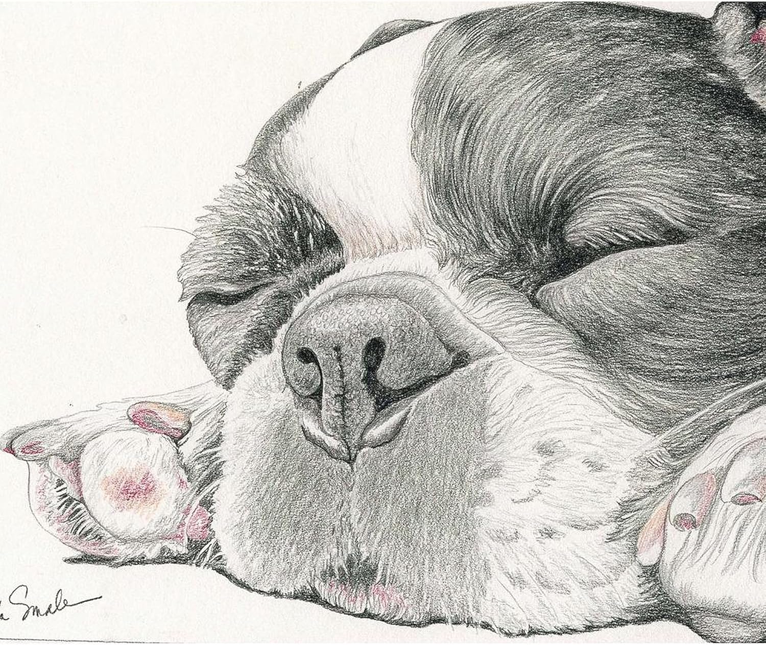 CafePress Sleepy French Bulldog Throw Blanket Super Soft Fleece Plush Throw Blanket, 60"x50"