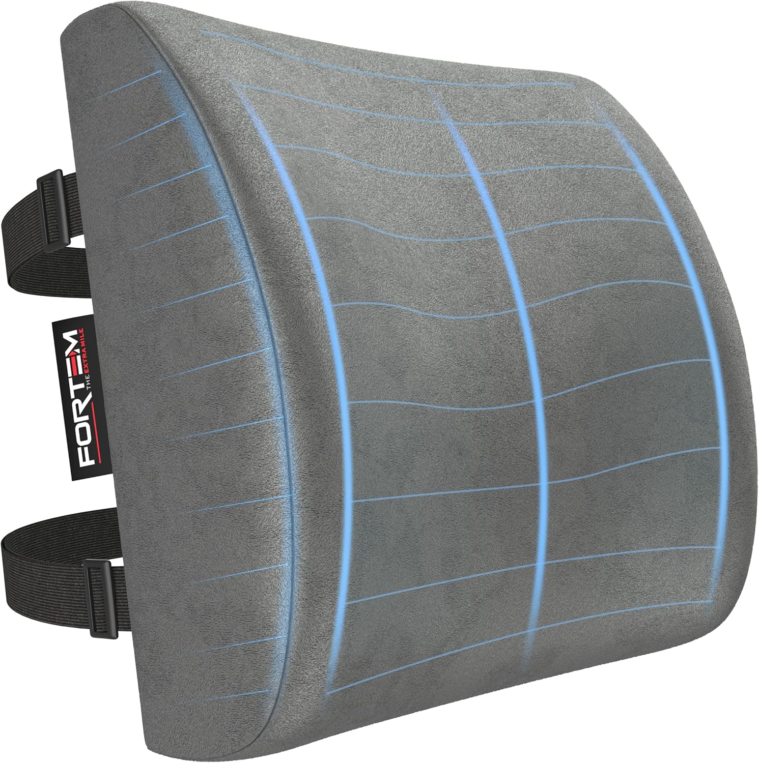 FORTEM Lumbar Support Cushion, Back Support for Office Chair and Car Seat Back Rest for Gaming Memory Foam Pillow