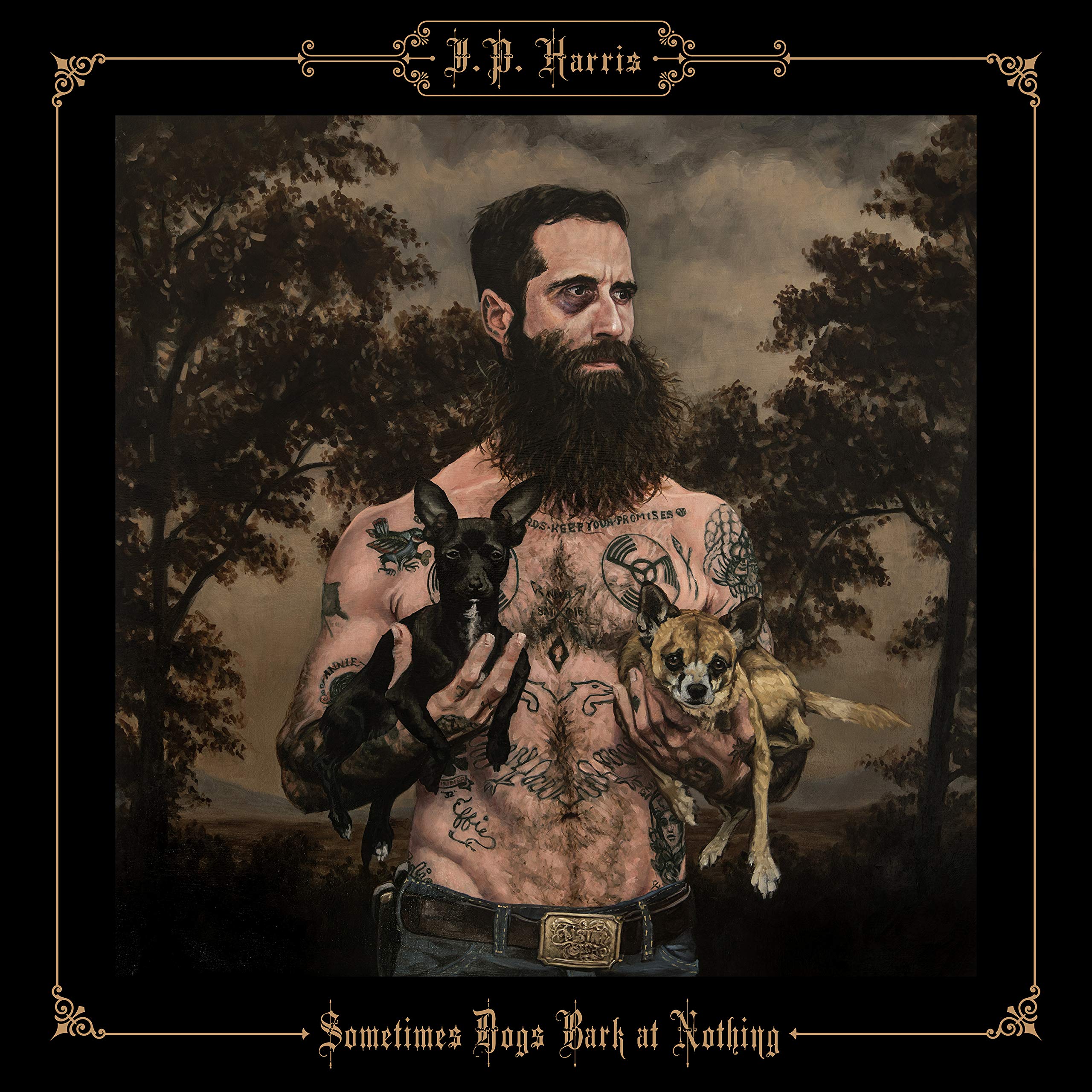Sometimes Dogs Bark At Nothing [VINYL]