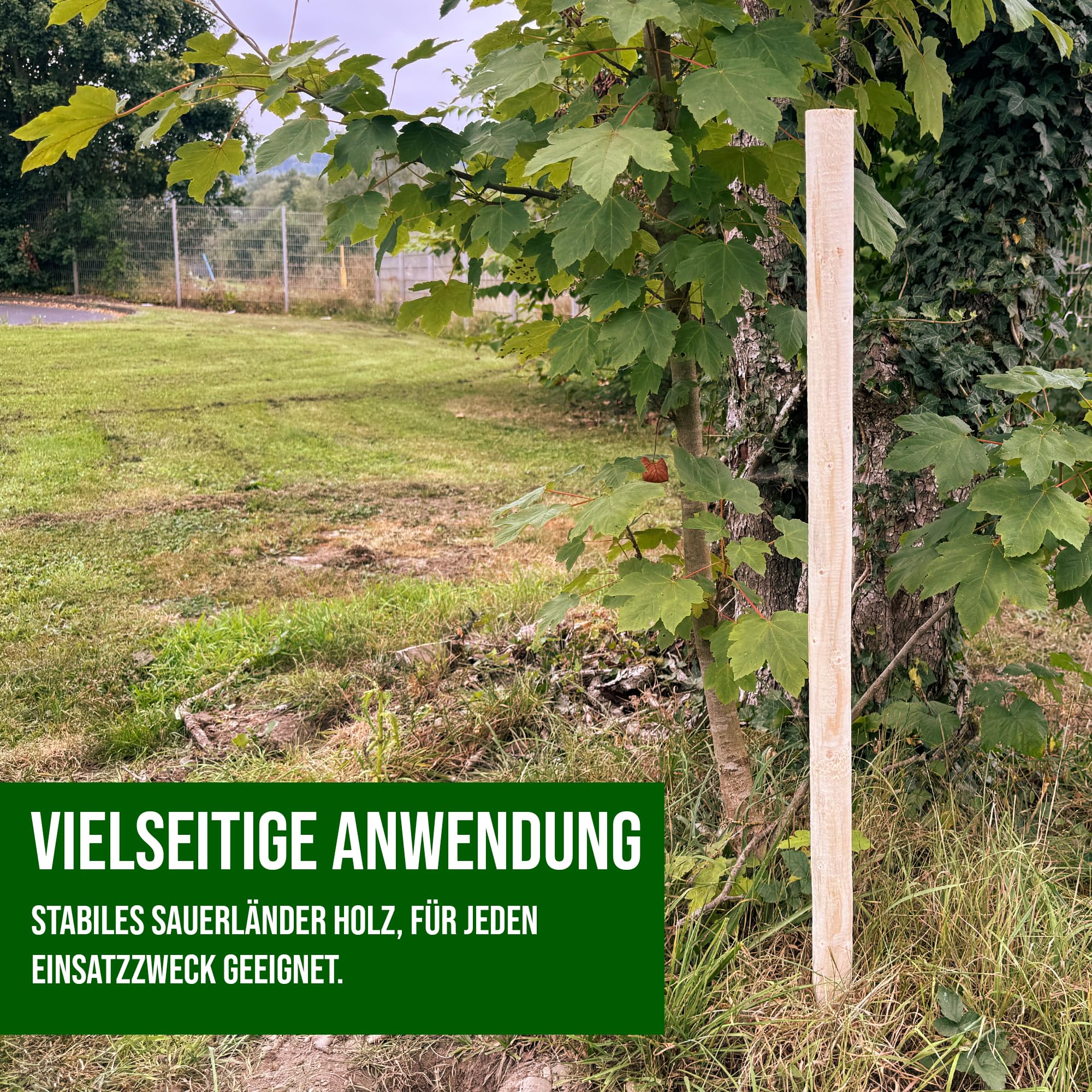 Juego de 10 estacas de madera natural redondas de 6 cm de diámetro, diferentes longitudes y grosores, ideales como postes de vallas, estacas de plantas o postes de árboles (125 cm de longitud)