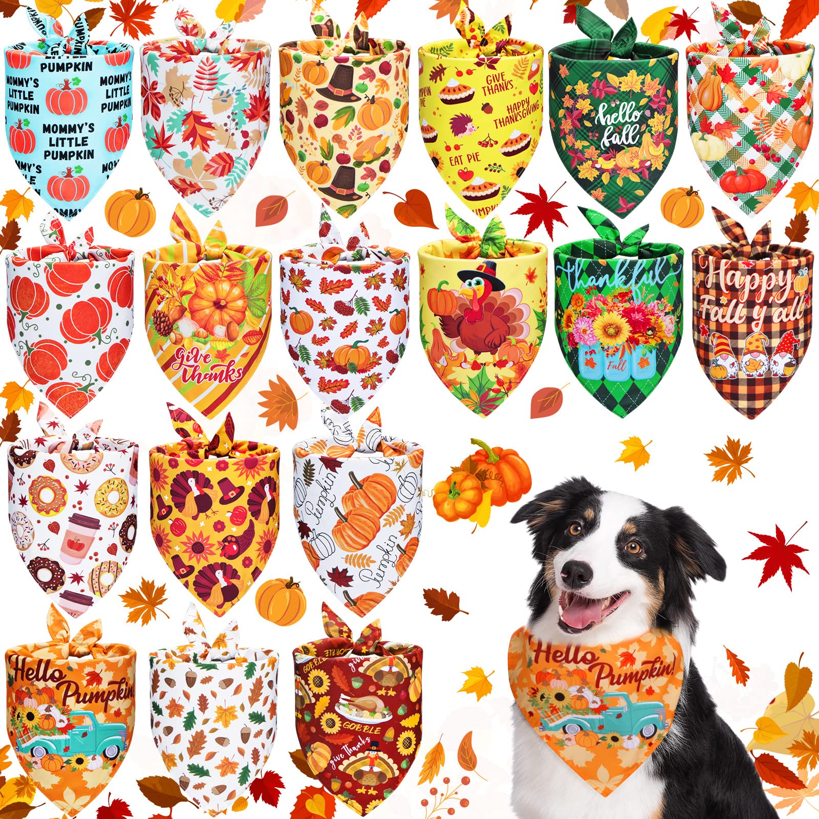 How Can I Bulk Up My Dog