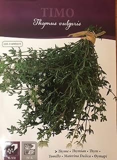 PREMIER SEEDS DIRECT - HERB - Thyme - 0.30 Gram Approx 1050 Italian Seeds