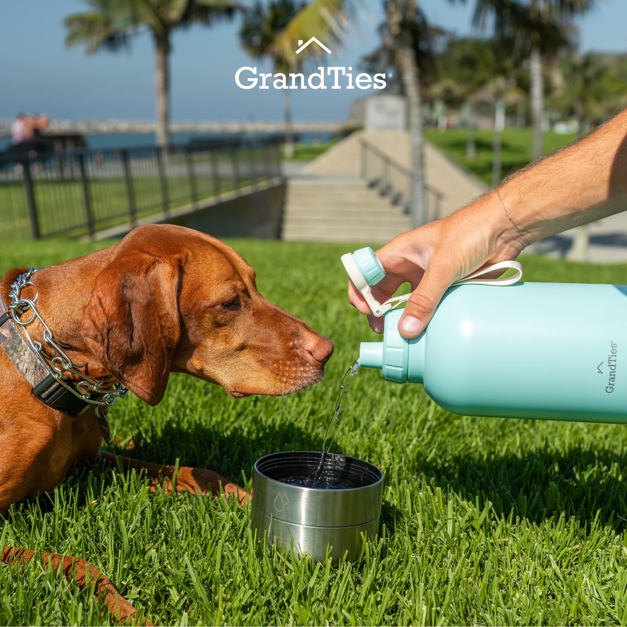 GrandTies Borraccia portatile isolata per cani con 2 dispenser per l'acqua staccabili, a prova di perdite, accessorio per cani per passeggiate, escursionismo, campeggio (907,2 g, verde polvere)