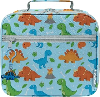 Medium Travel Pill Bottle Organizer, Child Medicine Bag with Zipper Toy, Carrier for Kids Medications and Medical Supplies - Dinosaurs