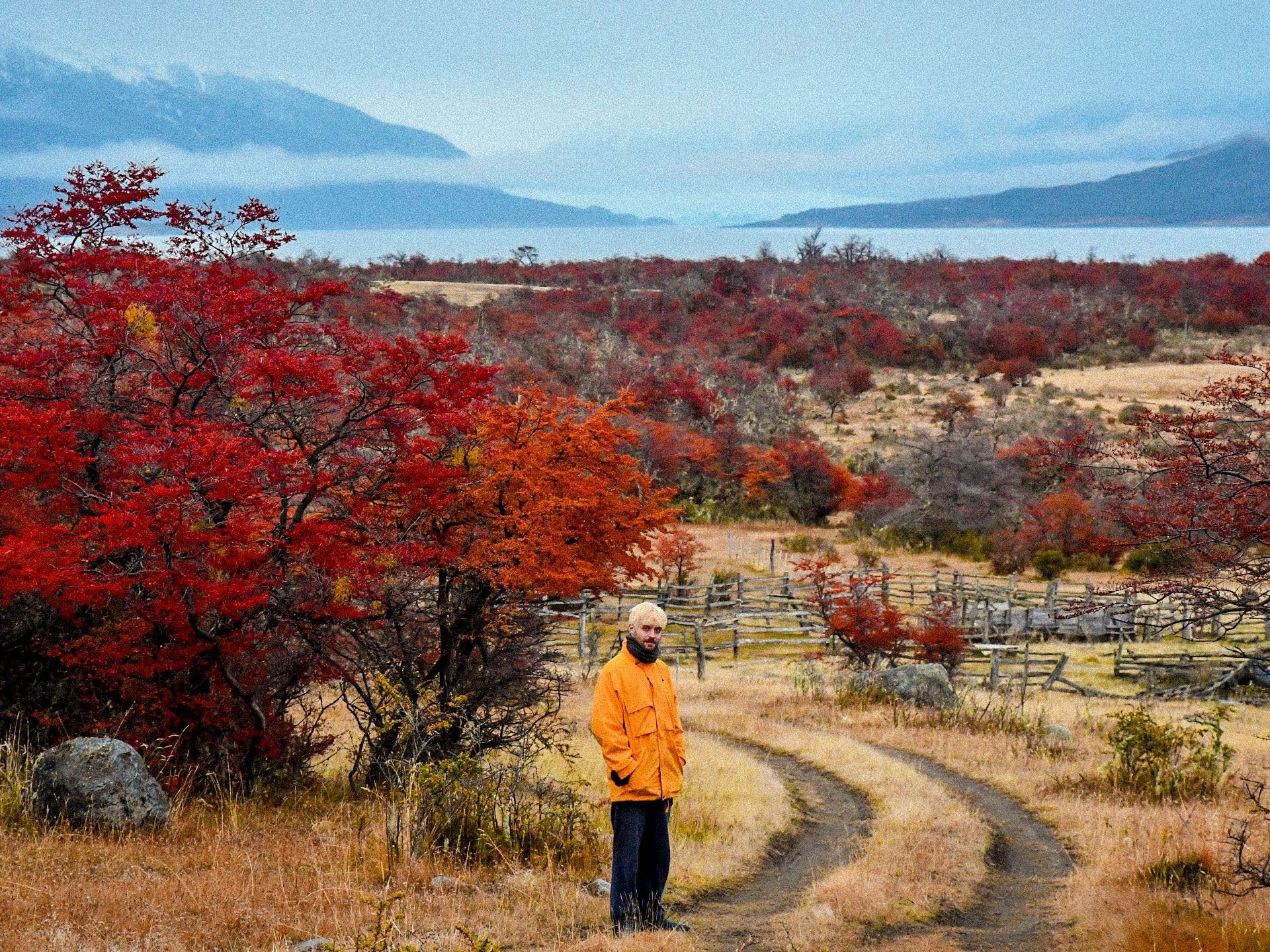 Alan Sutton y las criaturitas de la ansiedad