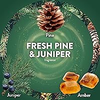 Vista 4 de Air Wick Plug In Scented Oil Refill, Infused with Essential Oils, Plug In Air Fresheners for Home, Fresh Pine & Juniper, 4 ct