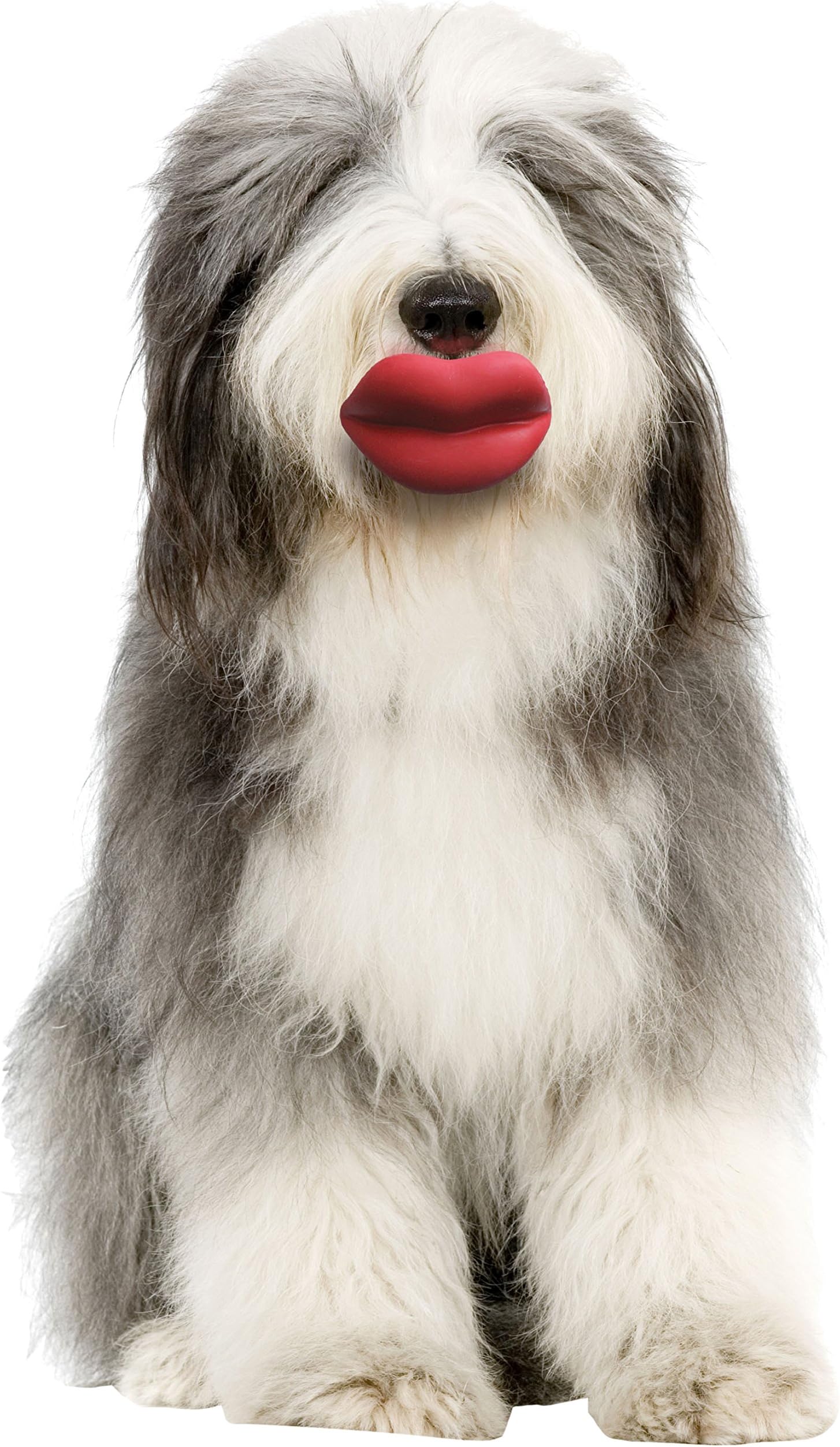 Moody Pet Junior Humunga Lips Dog Toy