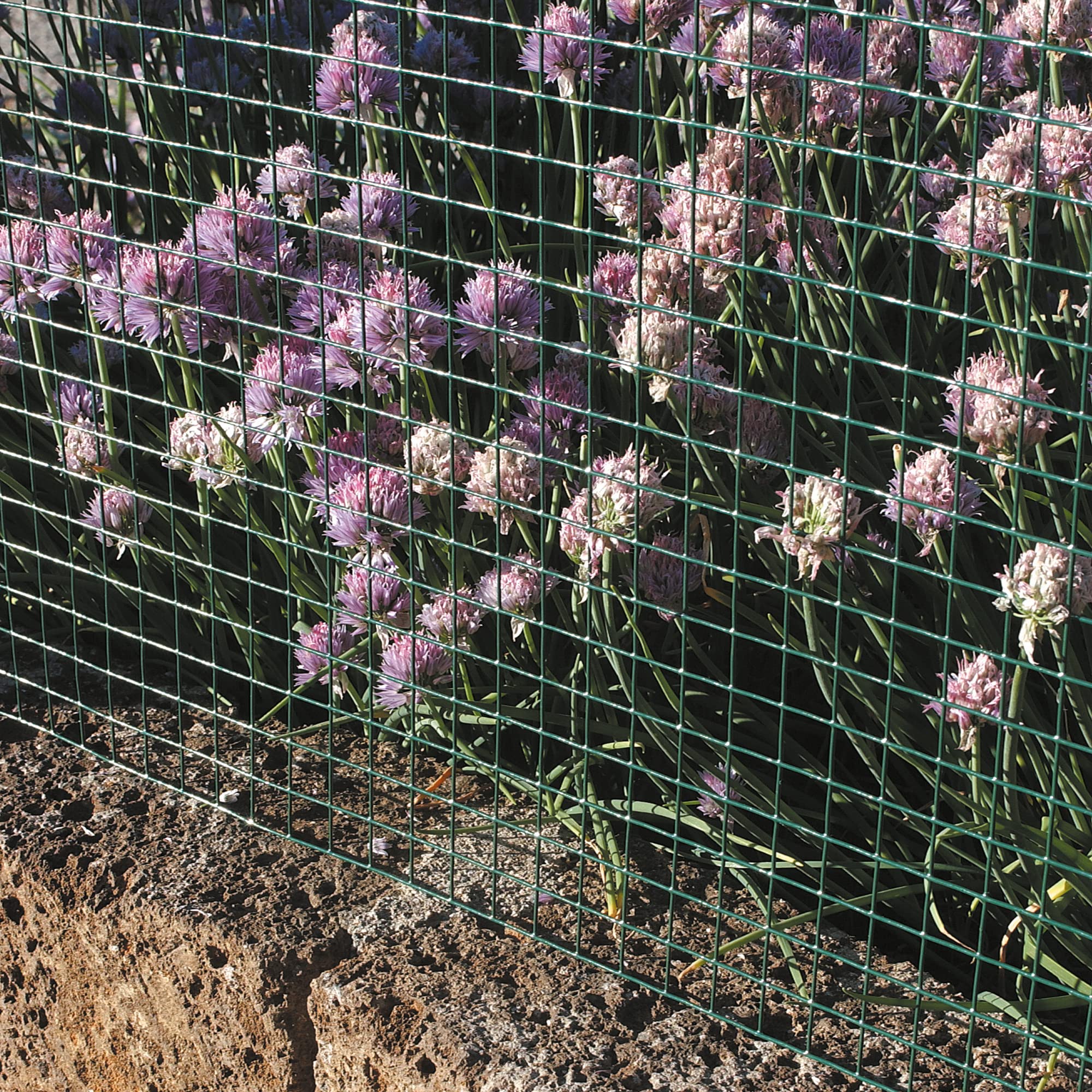tenax Plamet 10, Rete Metallica Plastificata 1,00x5 m Verde per Gabbie e Recinti di Animali da Cortile (Polli, Conigli, Uccelli), Piccole recinzioni e Lavori Artigianali