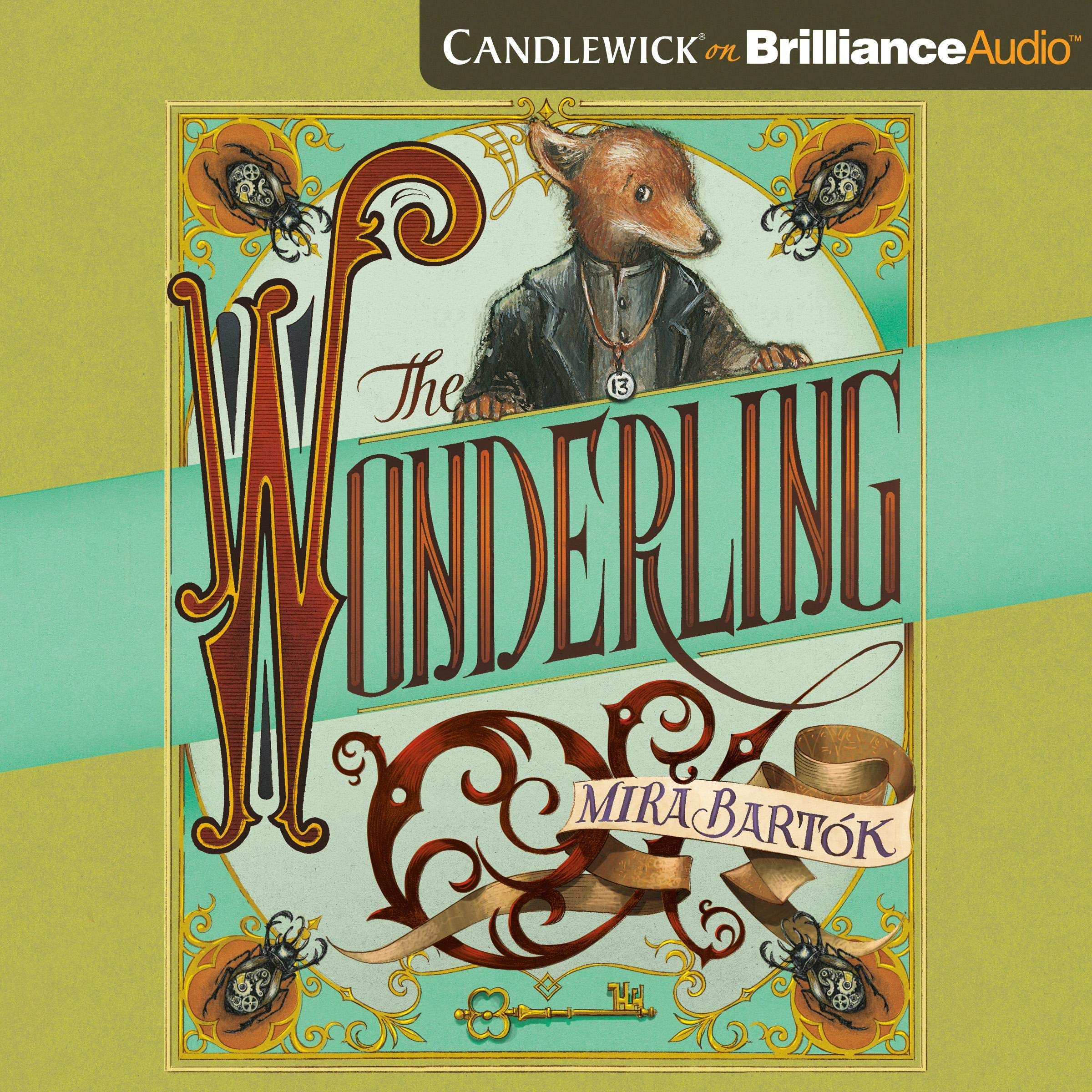 Cover art for The Wonderling