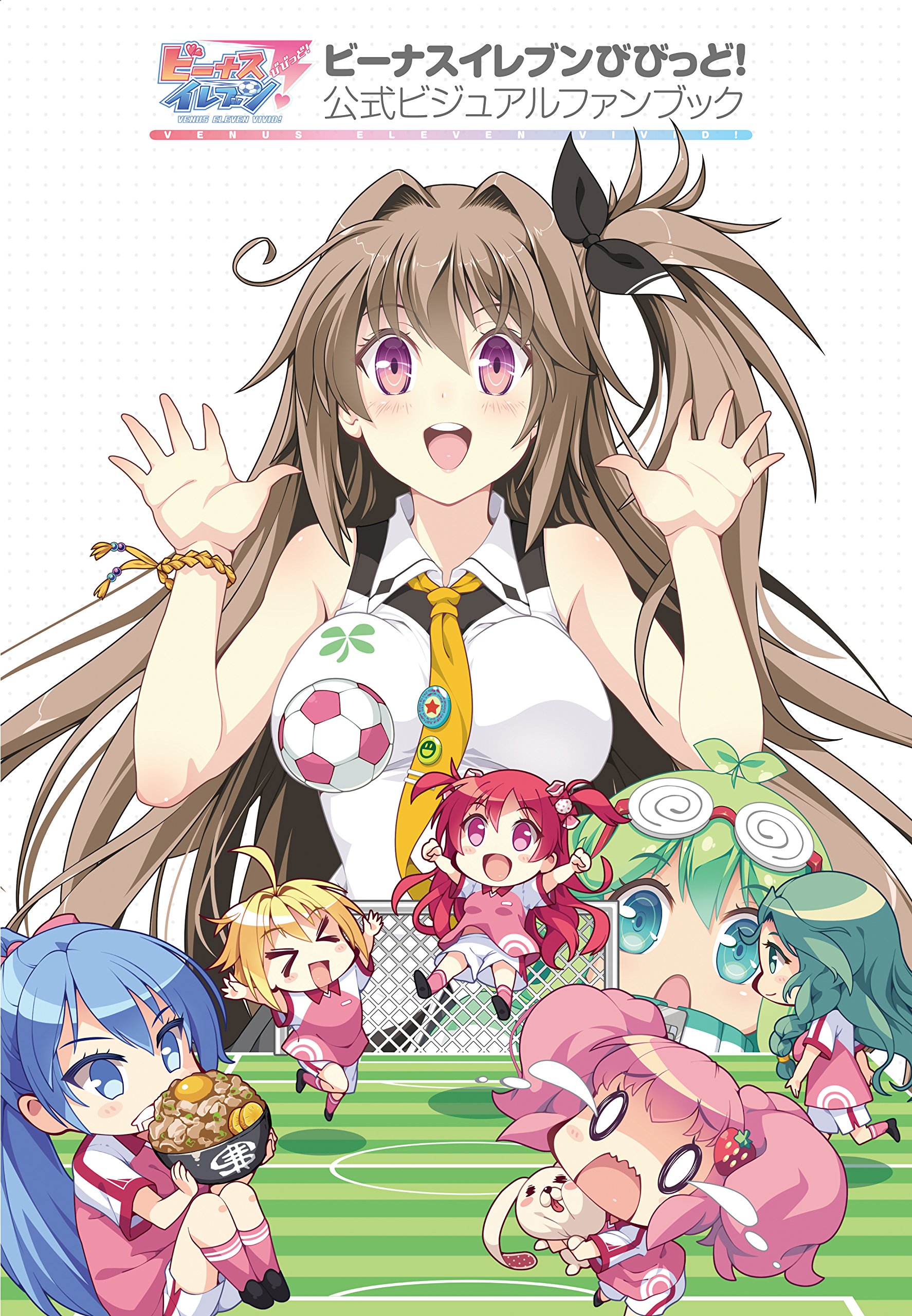 ビーナスイレブンびびっど! 公式ビジュアルファンブック (画集