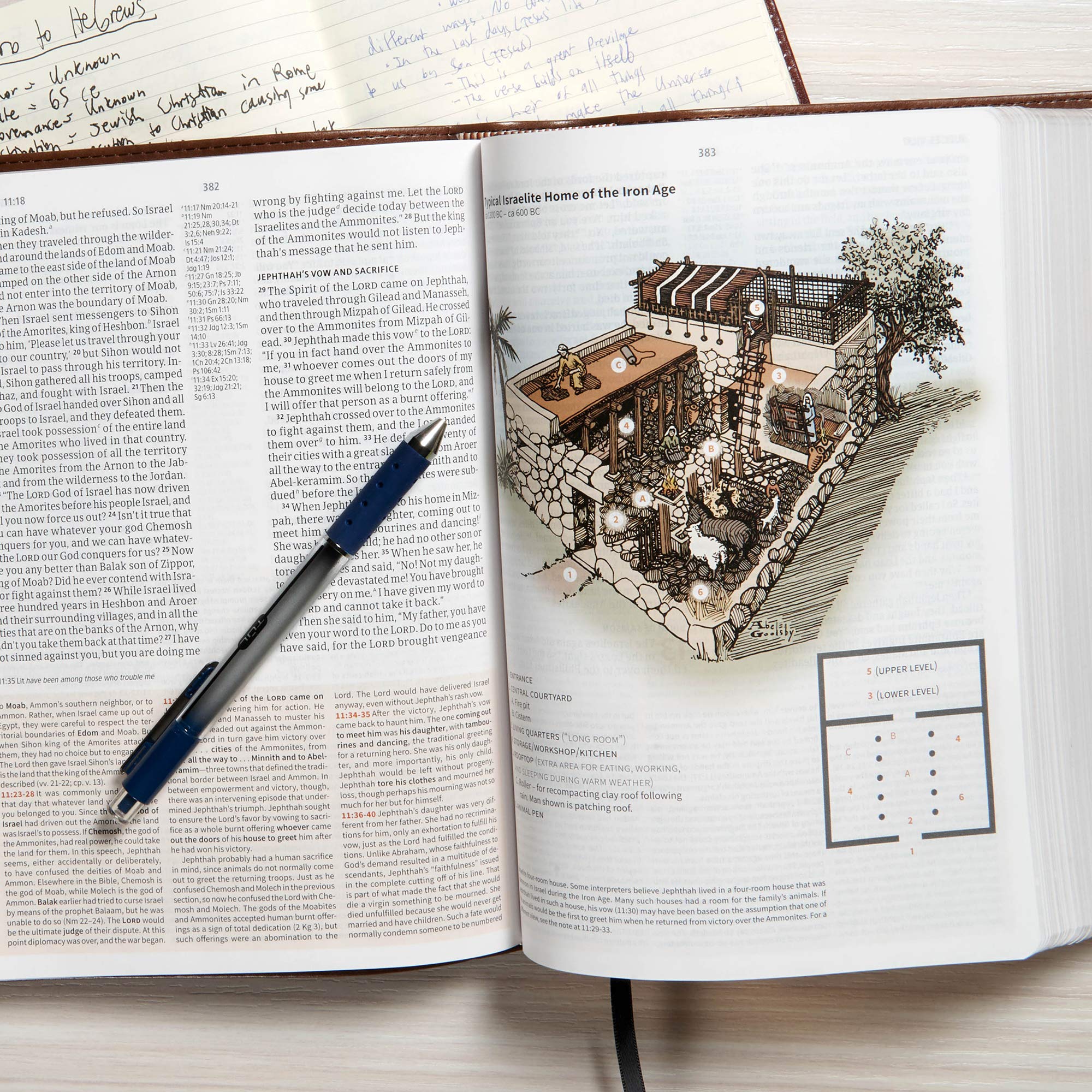 CSB Study Bible, Mahogany LeatherTouch, Red Letter, Study Notes and Commentary, Illustrations, Articles, Word Studies, Outlines, Timelines, Easy-to-Read Bible Serif Type - Image 5