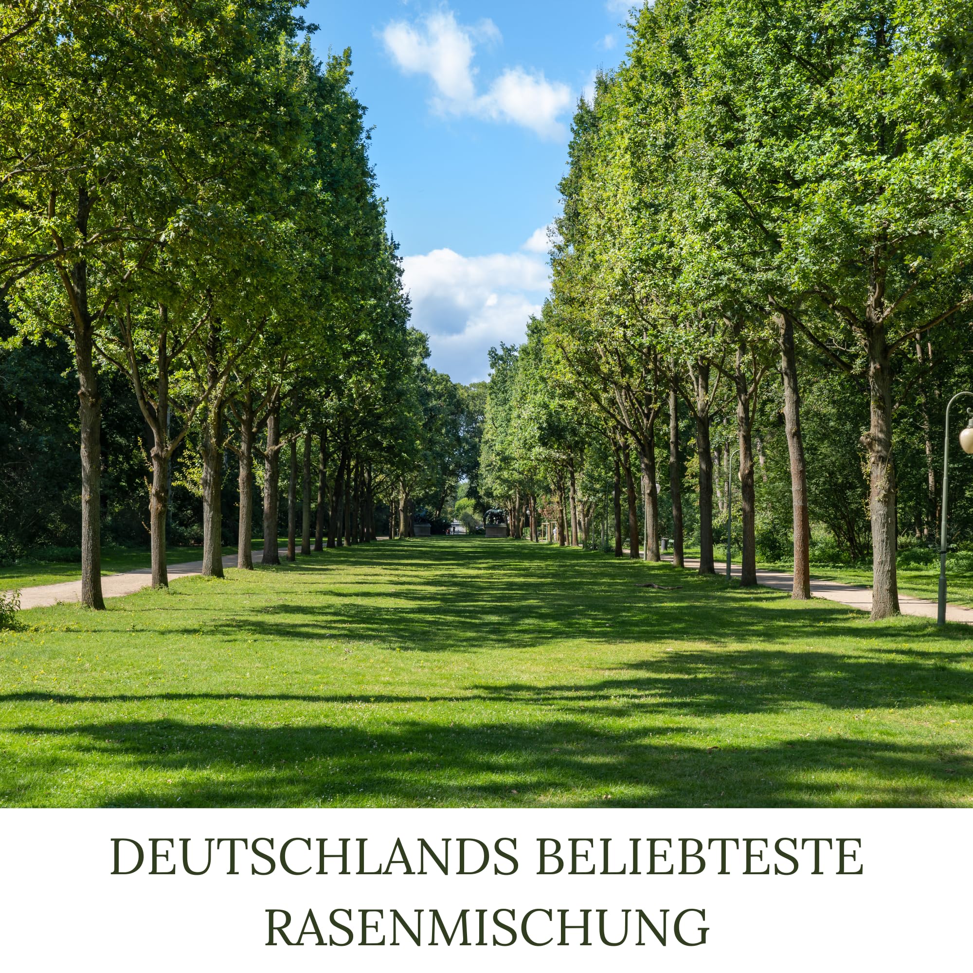 HEGA Grasland Rasensamen Berliner Tiergarten Rasen Samen Grassamen (20 kg (2 x 10 kg))