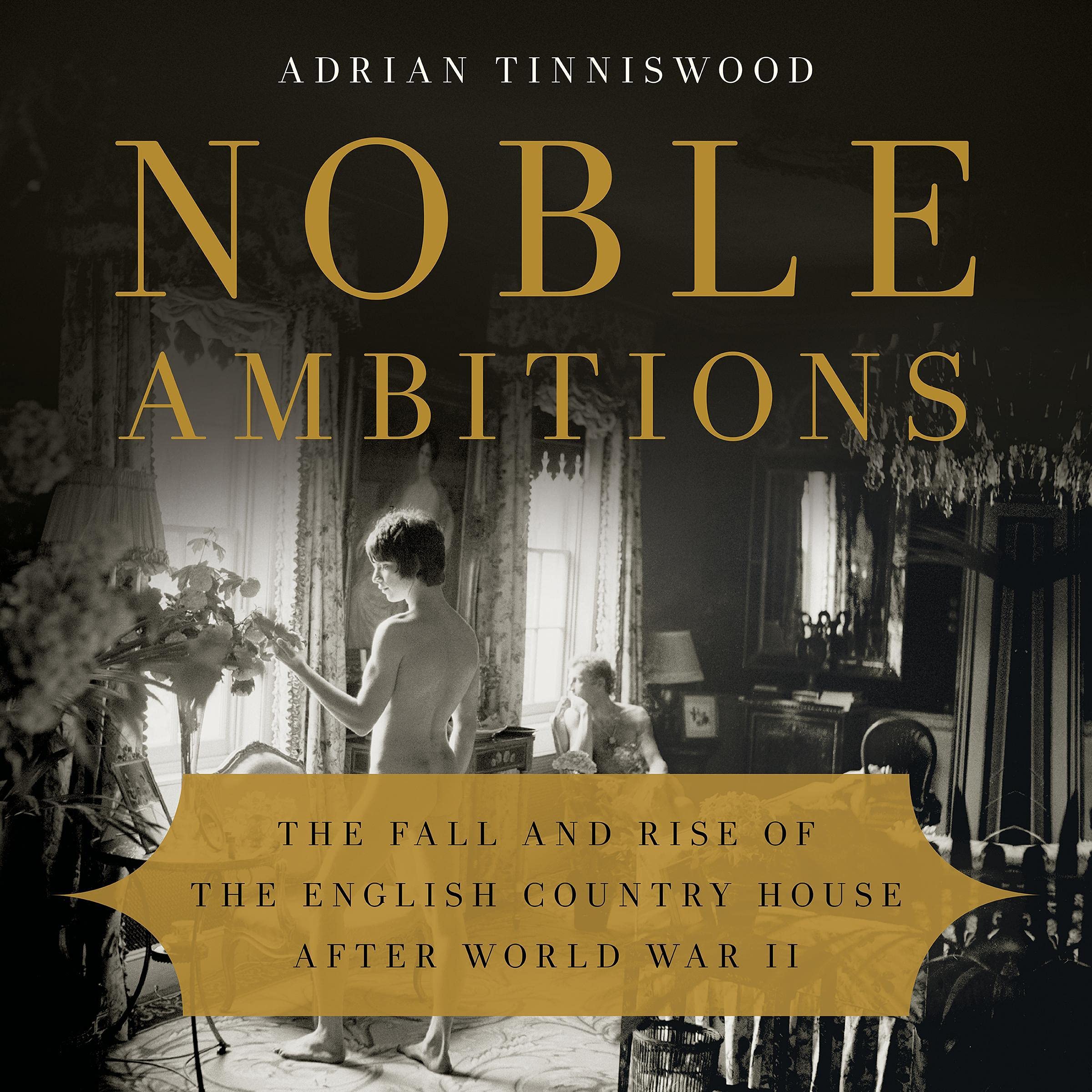 Cover art for Noble Ambitions