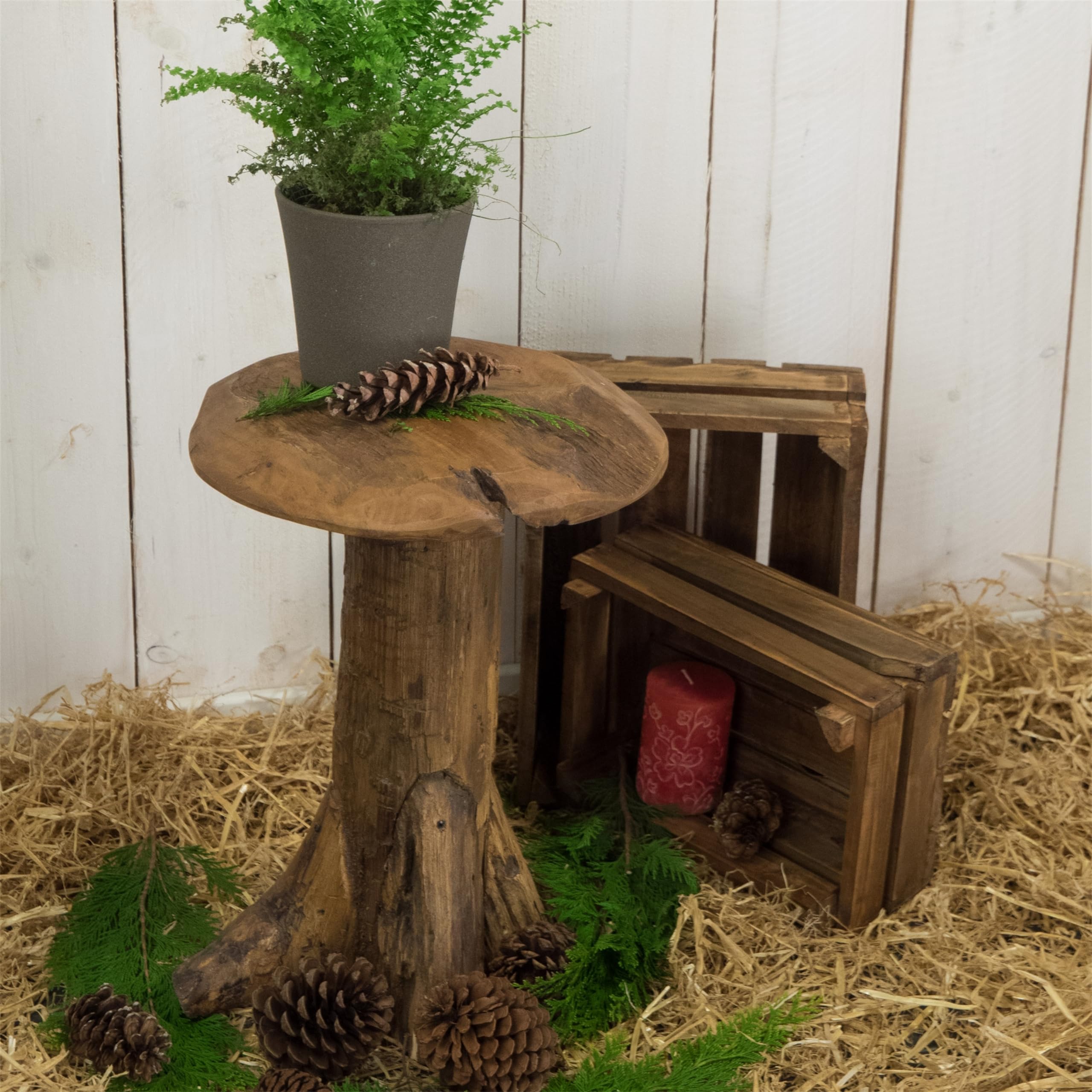 Sgabello in teak | radice in legno, 47 cm | Sgabello per fiori, funghi, tavolino, piante, tronco d'albero massiccio
