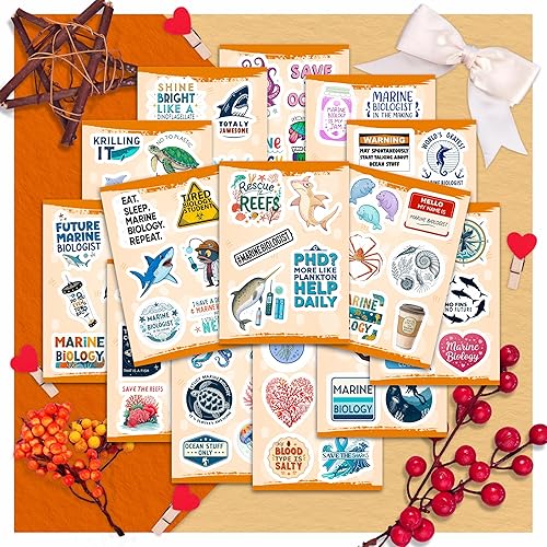 Vista 480 de BulbaCraft 100 calcomanías de meme de gato, divertidas calcomanías de gato, regalos para mujeres y hombres Gato Meme