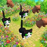 Clever Cats Battle of Wits