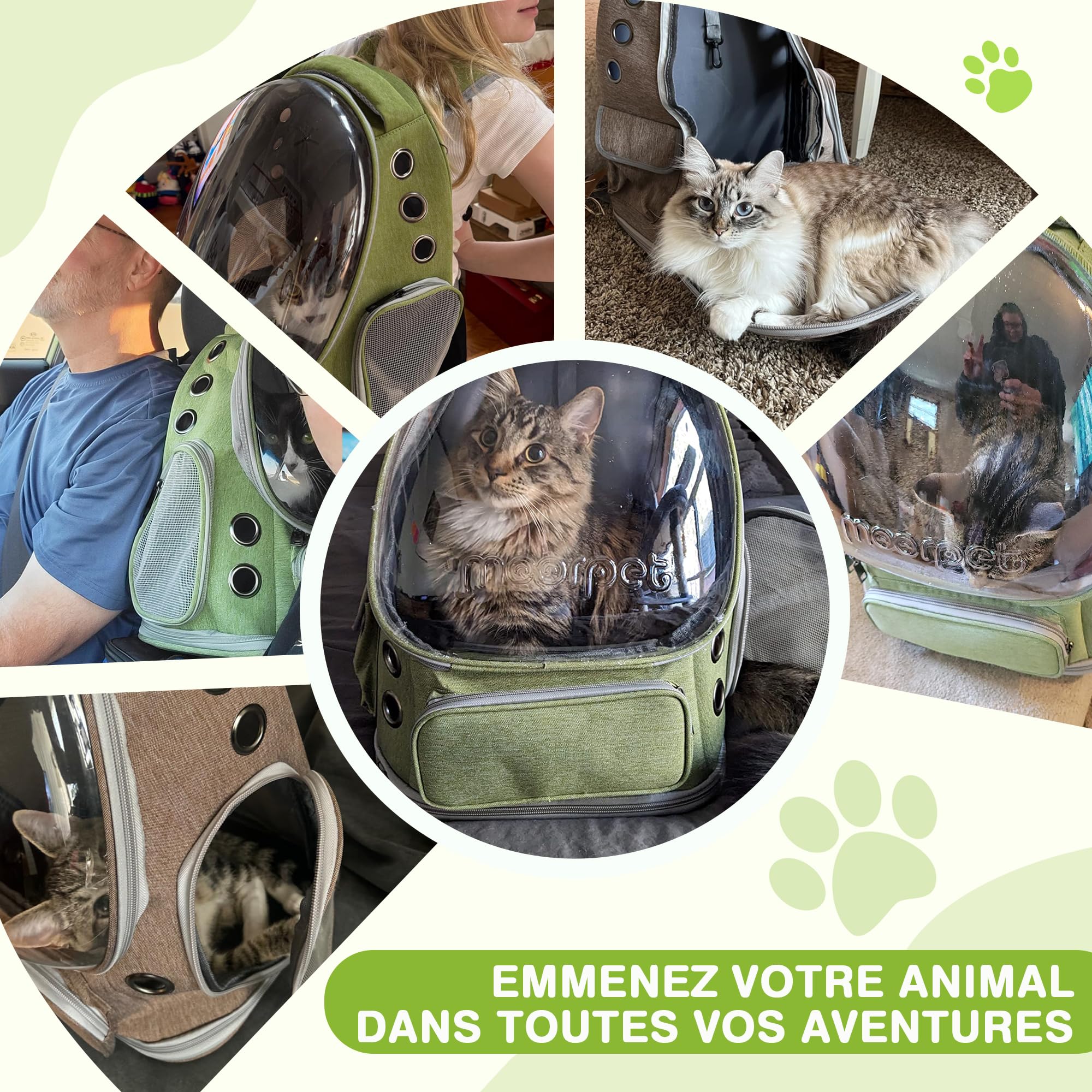 ALLSOPETS Sac à Dos pour Chat, Fenêtre Bulle Transparente, Vert Forêt | Sac de Transport Respirant avec Crochet de Sécurité, Confortable pour Chats et Petits Chiens jusqu’à 7,5 kg pour les Voyages