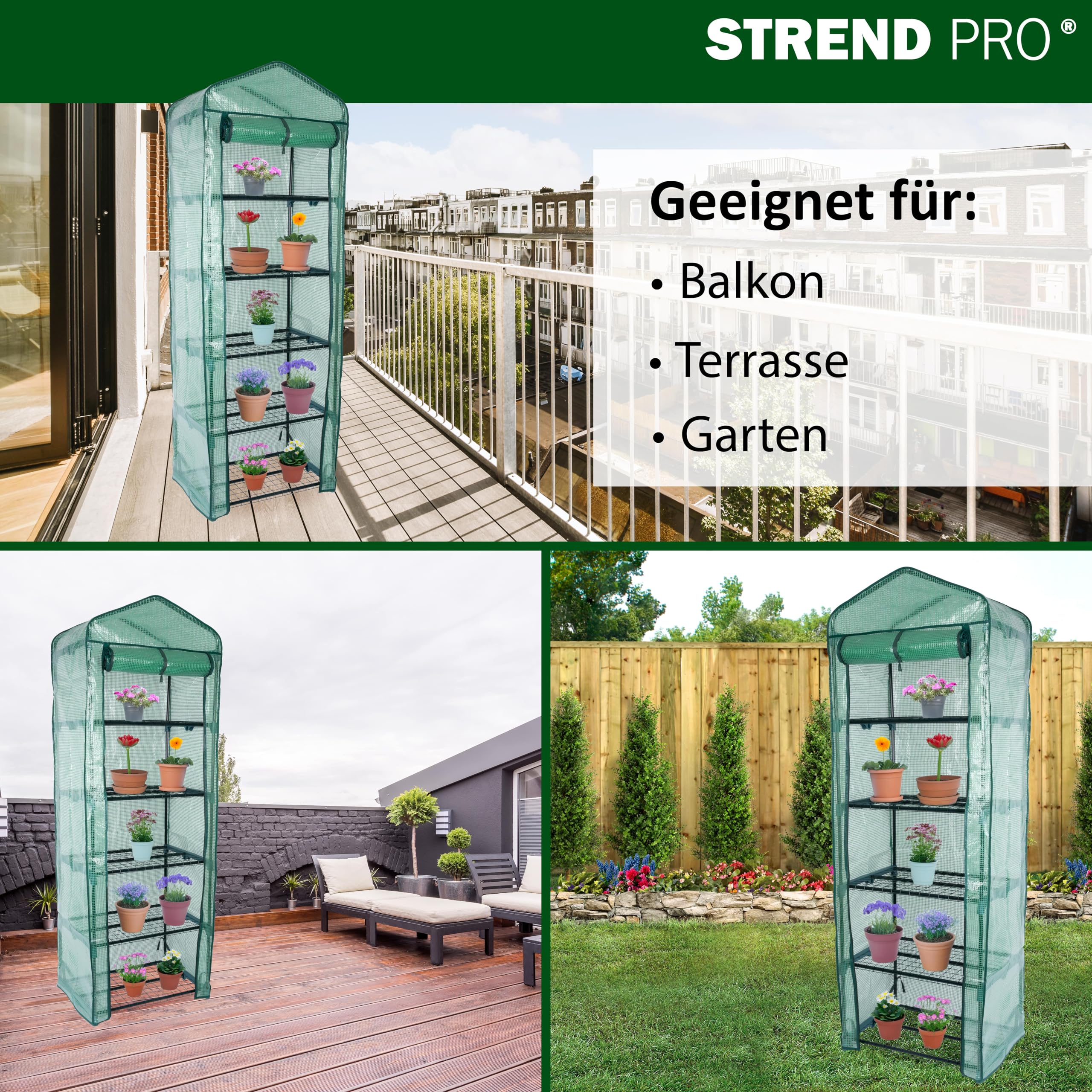 STREND PRO Gewächshaus klein 200 x 69 x 49 cm für optimales Pflanzenwachstum, Mini-Gewächshaus mit 5 Ebenen, inkl. Gewächshausfolie, grünes Gewächshaus, Balkonfolie, Gewächshaus, winterfest
