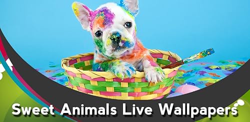 Imagens animadas de Sweet Animals Live