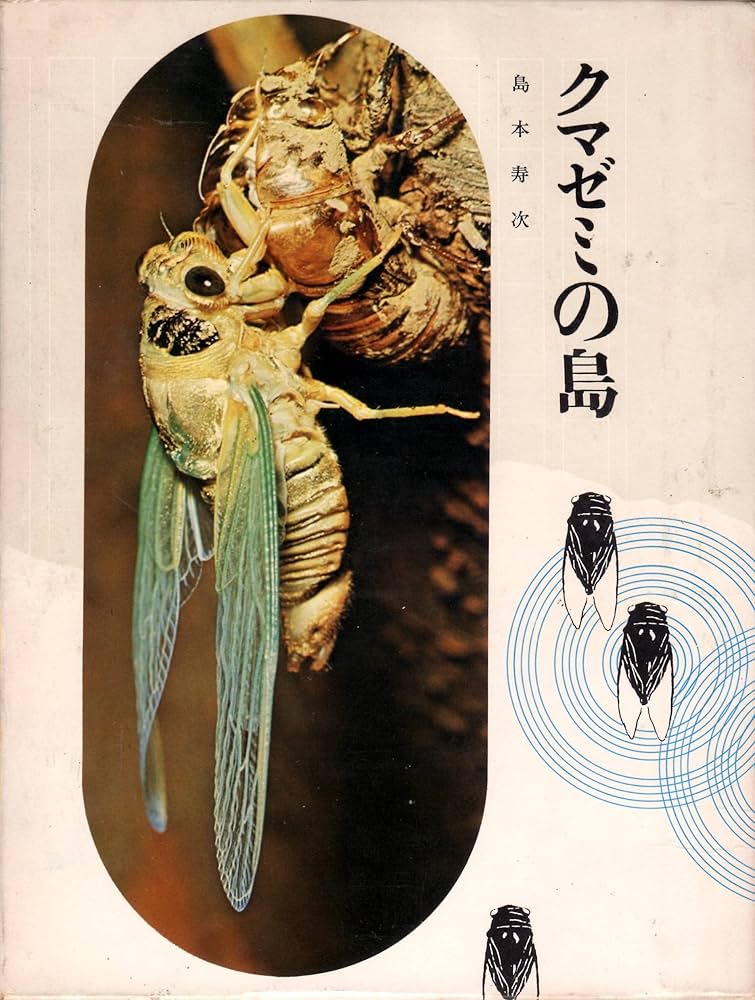 道楽　クマゼミ クマゼミ