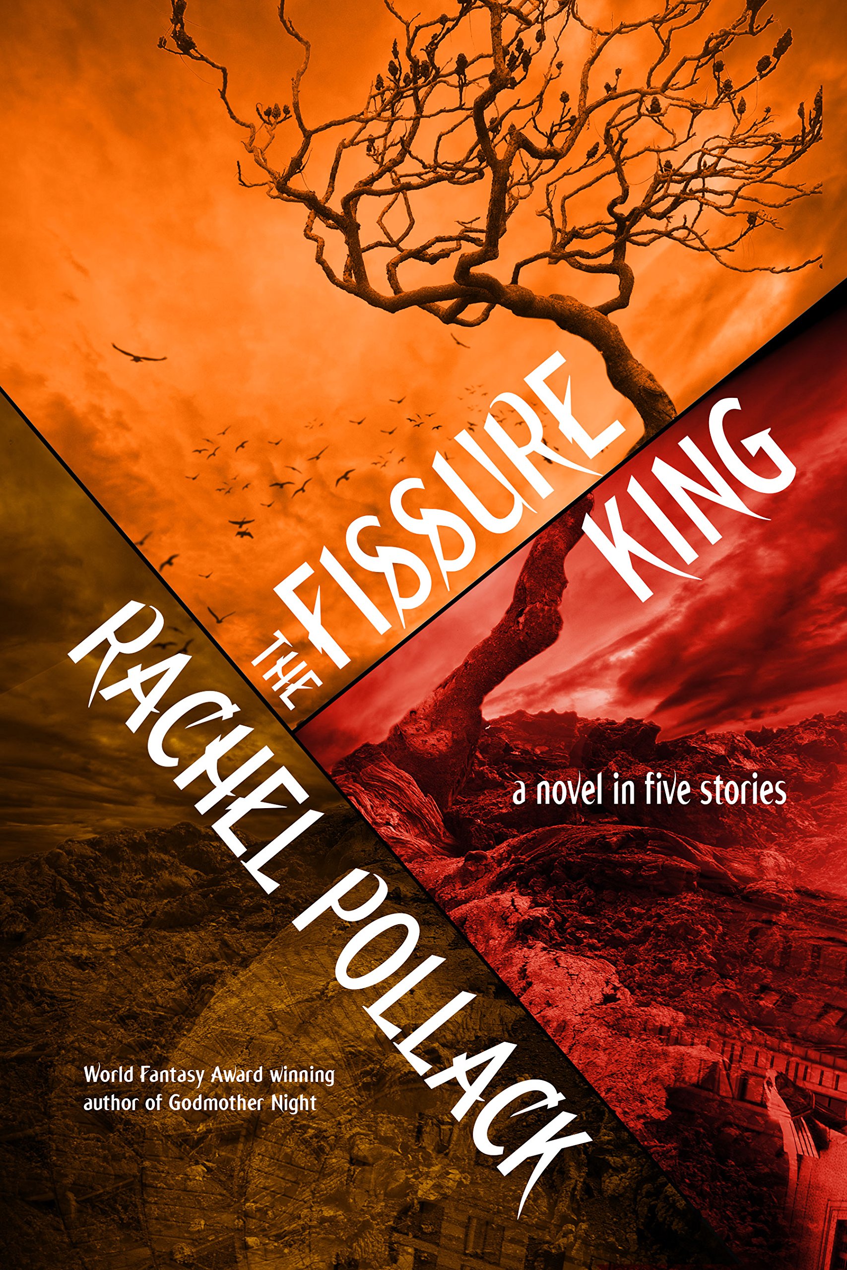 Buy The Fissure King: A Novel in Five Stories — BookShops.in