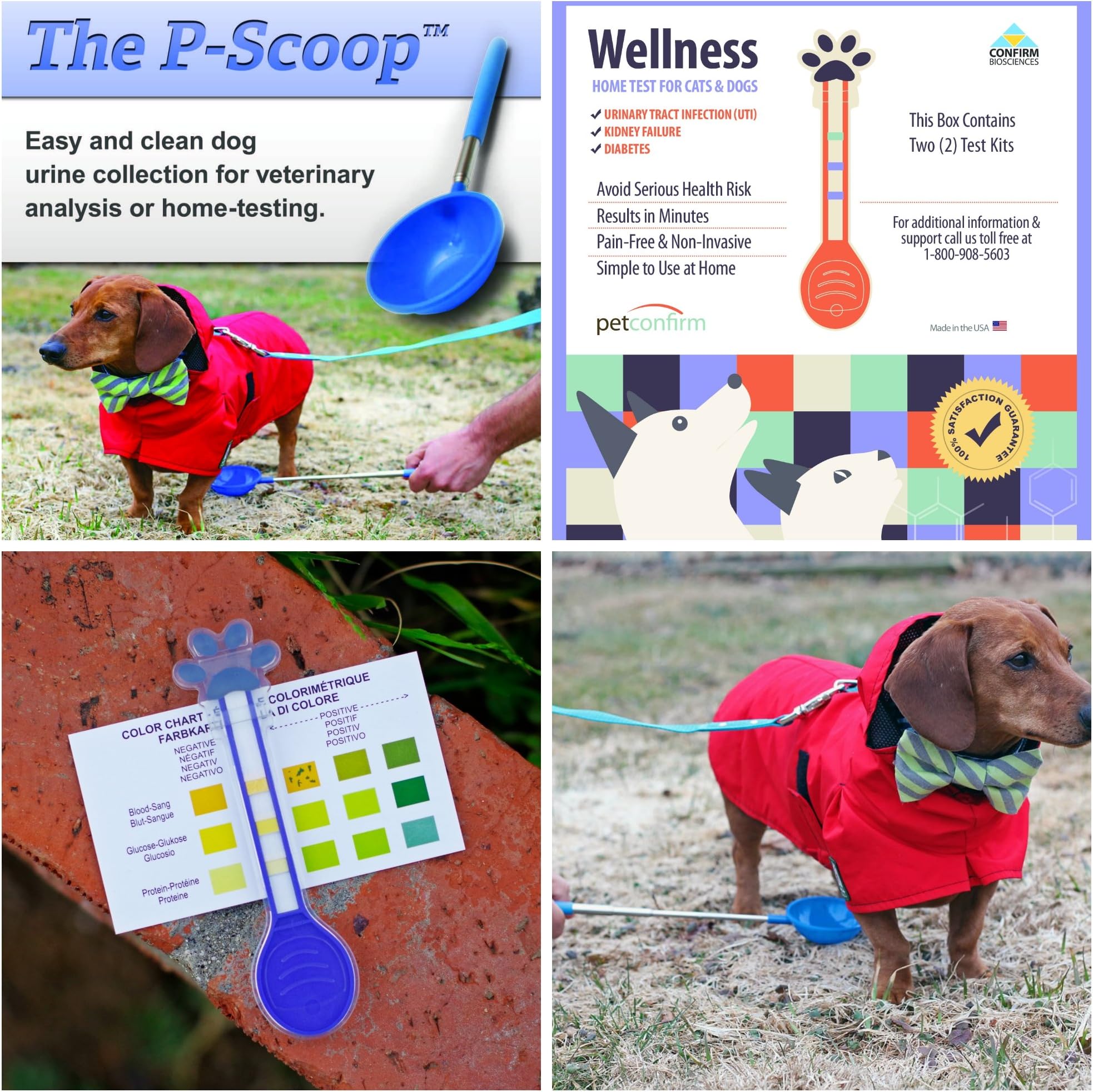 PetConfirm - General Wellness Tests and P-Scoop Urine Collector Combo For Dogs - Test For Urinary Tract Infections (UTI), Kidney Failure and Diabetes Tests with Urine Sample Collecting P-Scoop