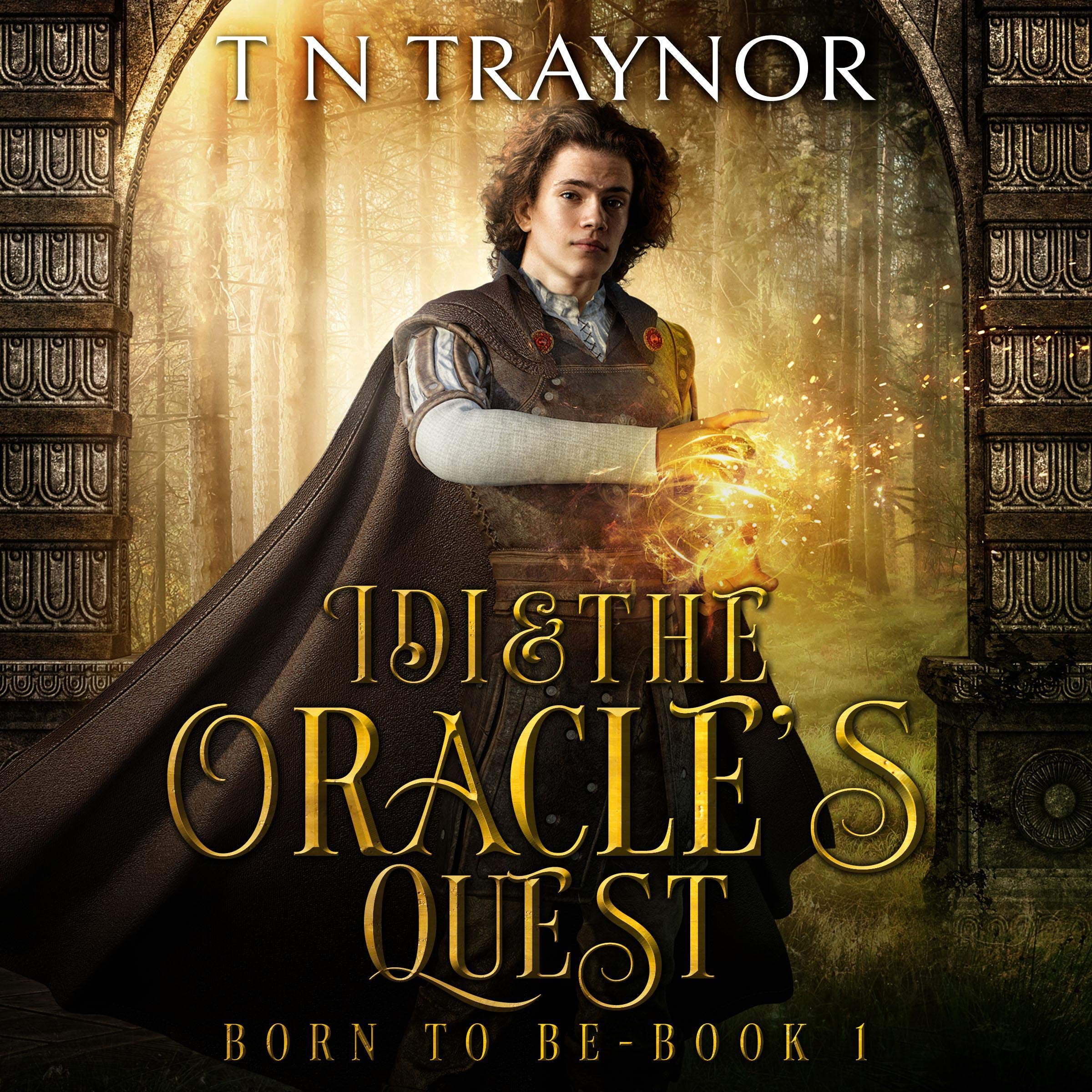 Cover art for Idi & the Oracle's Quest