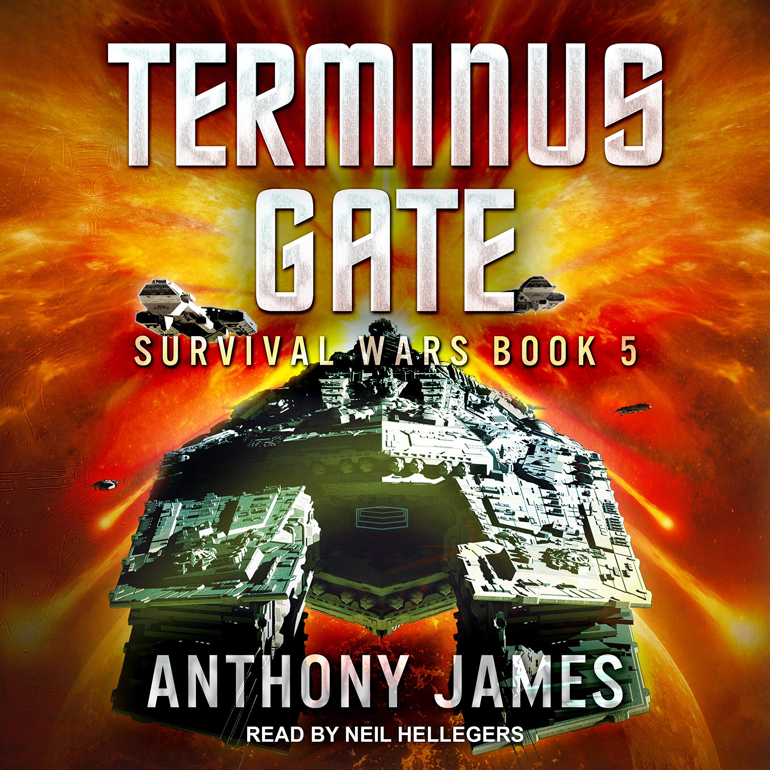 Cover art for Terminus Gate