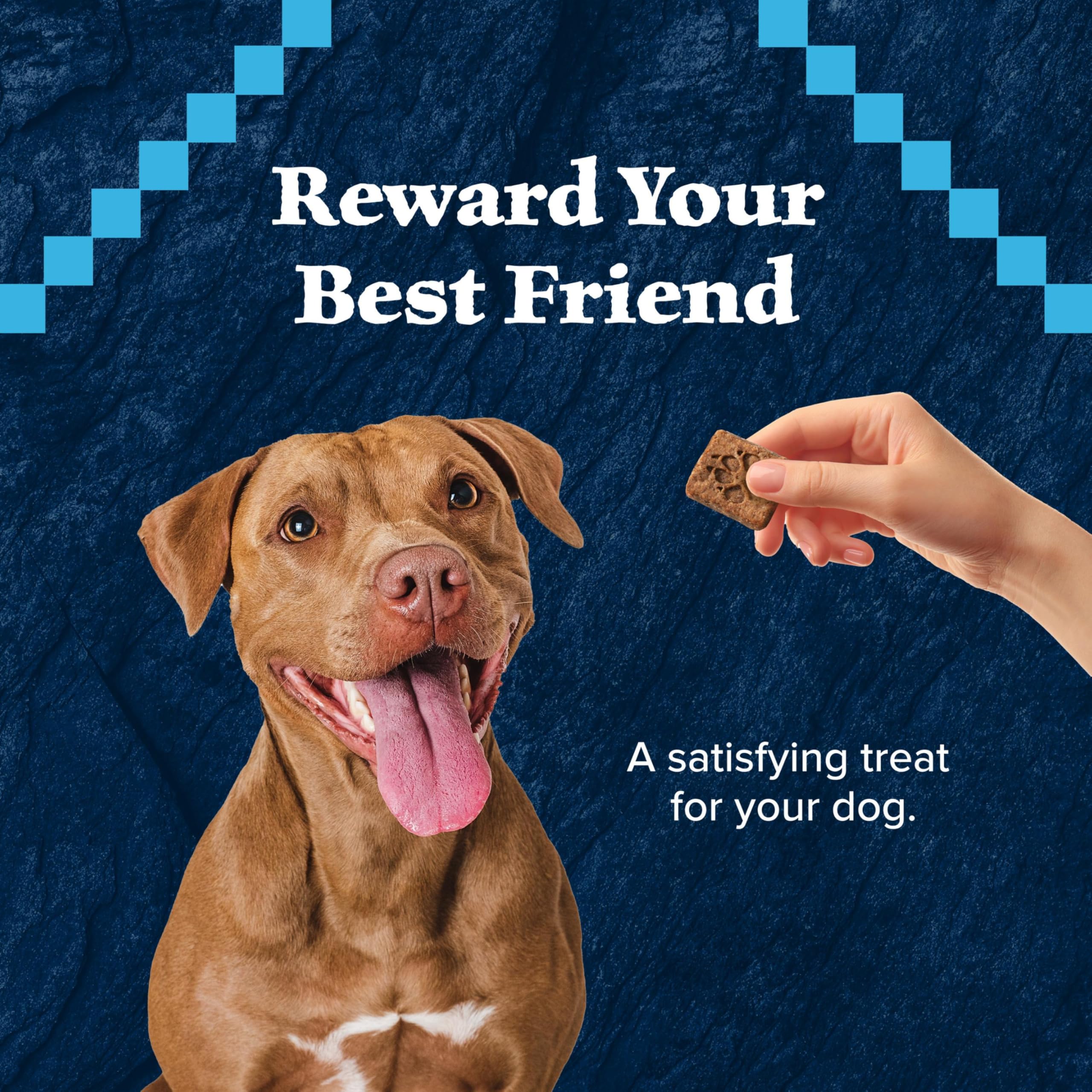 Blue Buffalo Wilderness Trail tratta biscotti per cani ad alto contenuto proteico senza cereali, dolcetti croccanti per cani, ricetta tacchino, sacchetto da 24 once