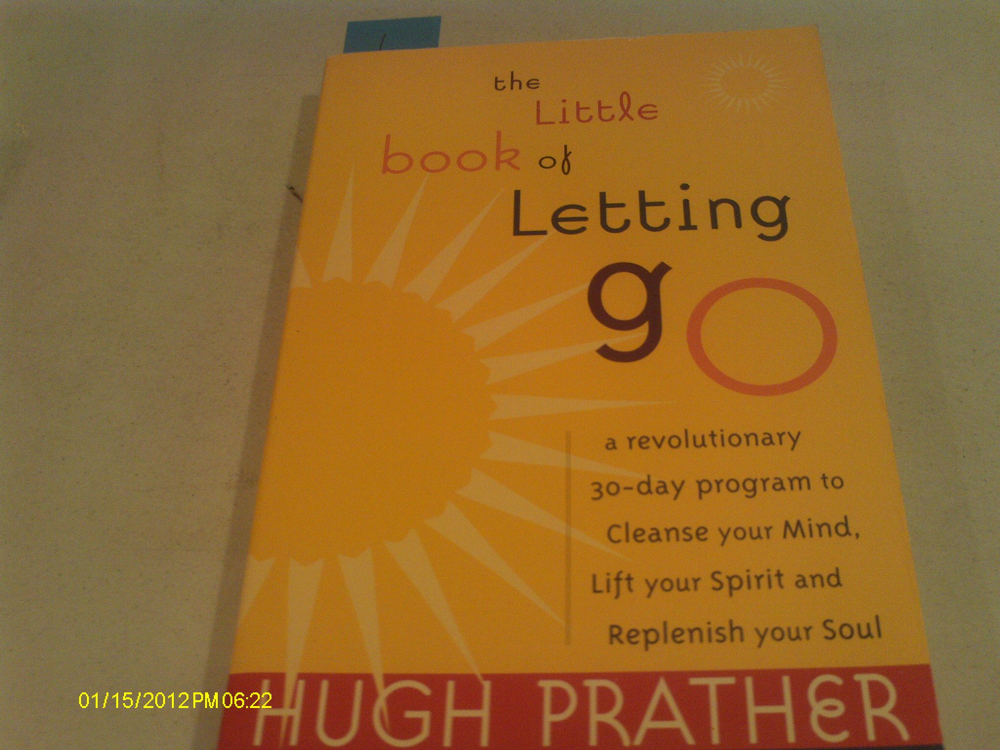 The Little Book of Letting Go: A Revolutionary 30-Day Program to Cleanse Your Mind, Lift Your Spirit and Replenish Your Soul (For Readers of Letting Go or The Art of Letting Go)