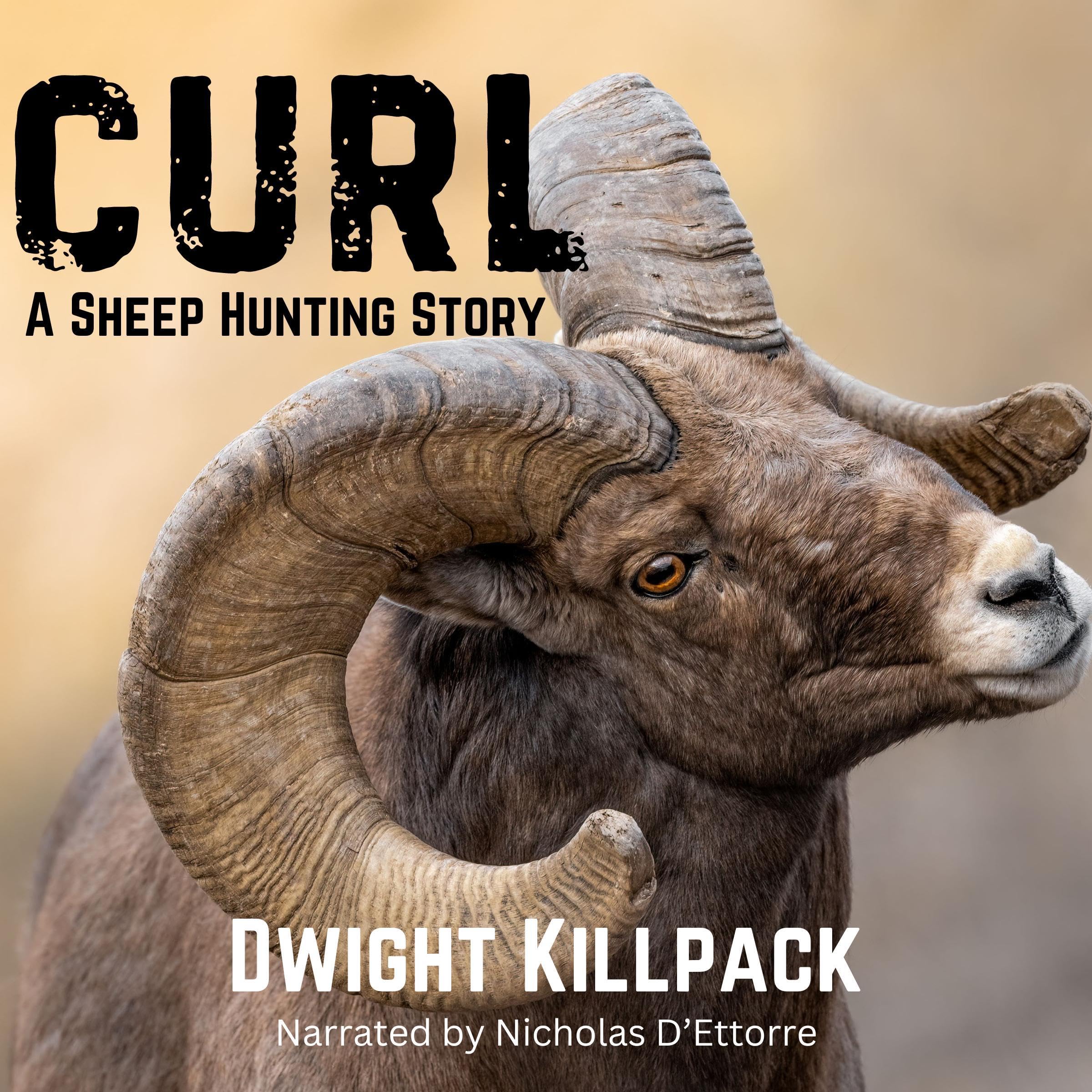 Cover art for Curl