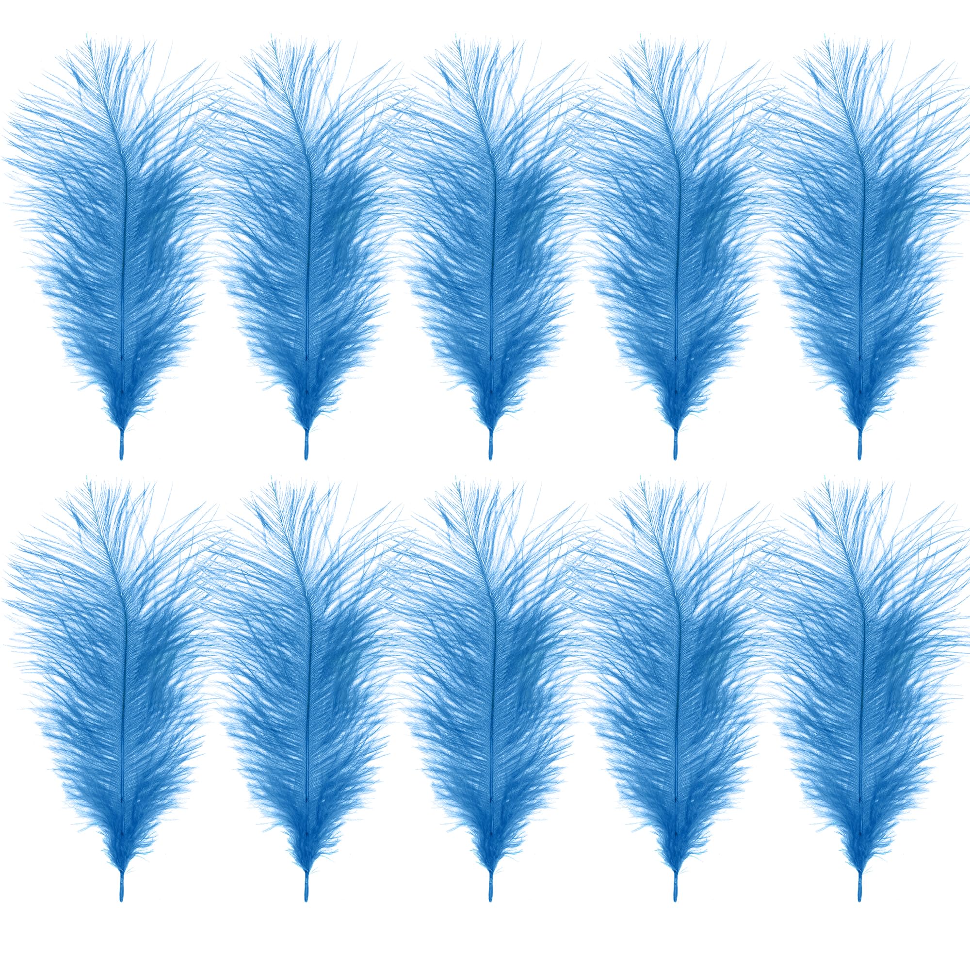 Weddecor Baby Blue Natural Ostrich Feathers 14-16" (35-40Cm) Long For Wedding Centerpieces, Home, Decorating Costumes, Embellishment, Art & Craft, Parties (Pack Of 10)