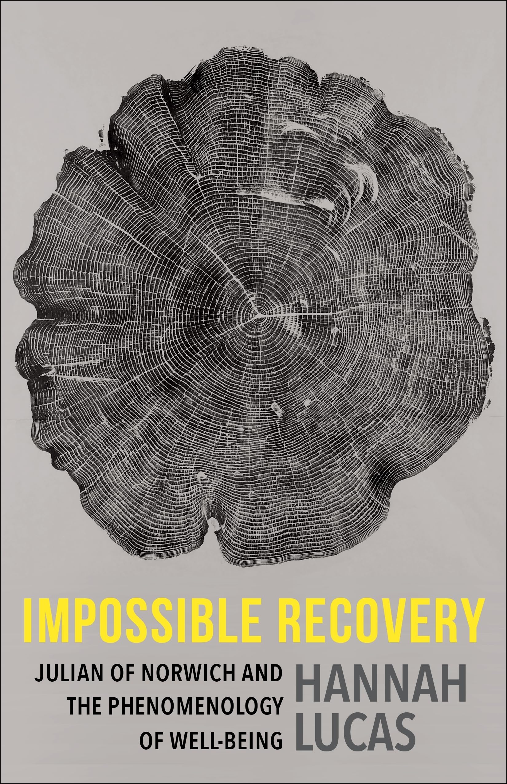 Impossible Recovery : Julian of Norwich and the Phenomenology of Well-Being