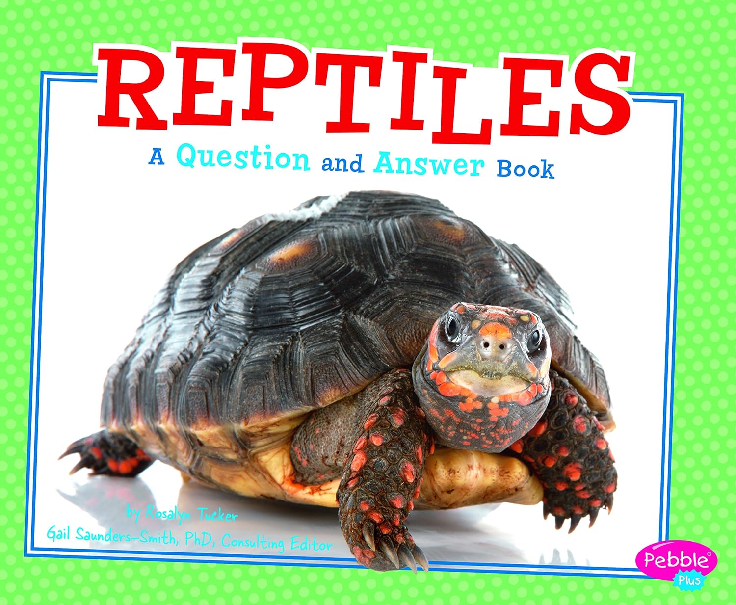 Reptiles A Question and Answer Book (Animal Kingdom Questions and