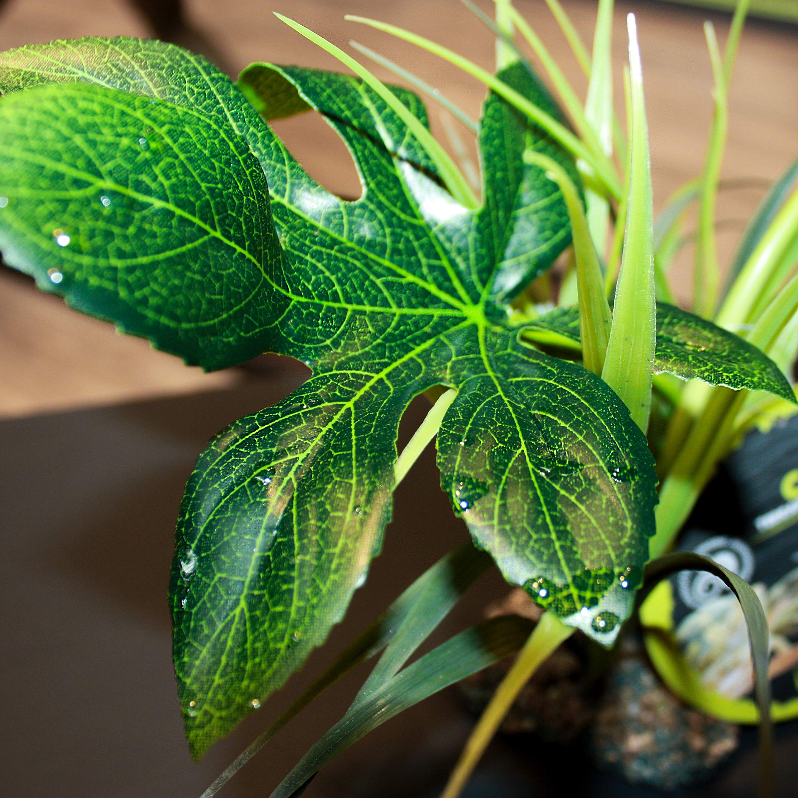 Komodo Plante tropicale artificielle