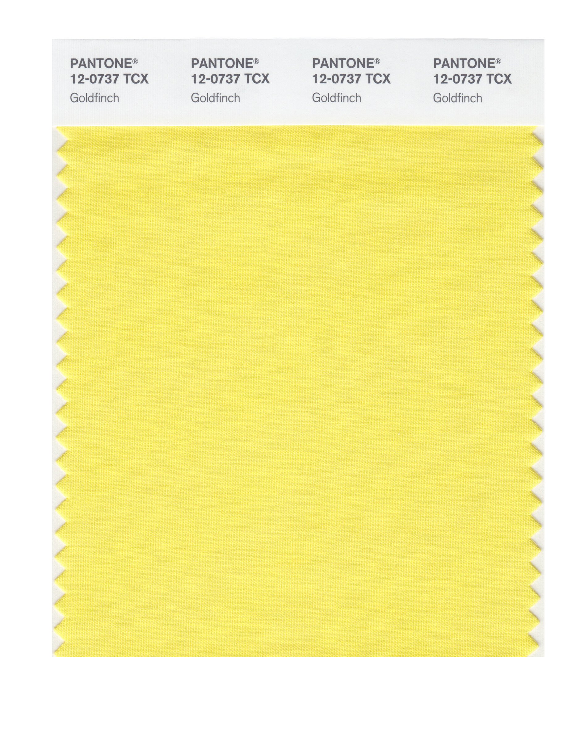 Amazon.com: Pantone 12-0737 TCX Smart Color Swatch Card, Goldfinch