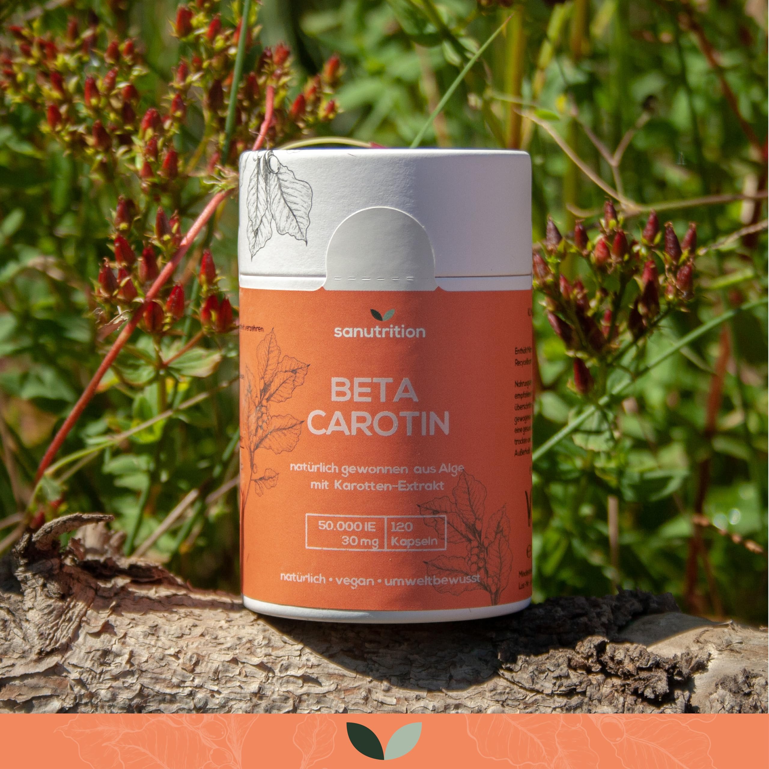 Beta Carotine d'algue 50.000 UI de vitamine A par gélule | 120 gélules | Hautement dosé | à base d'algue Dunaliella salina et d'extrait de carotte | Végétalien