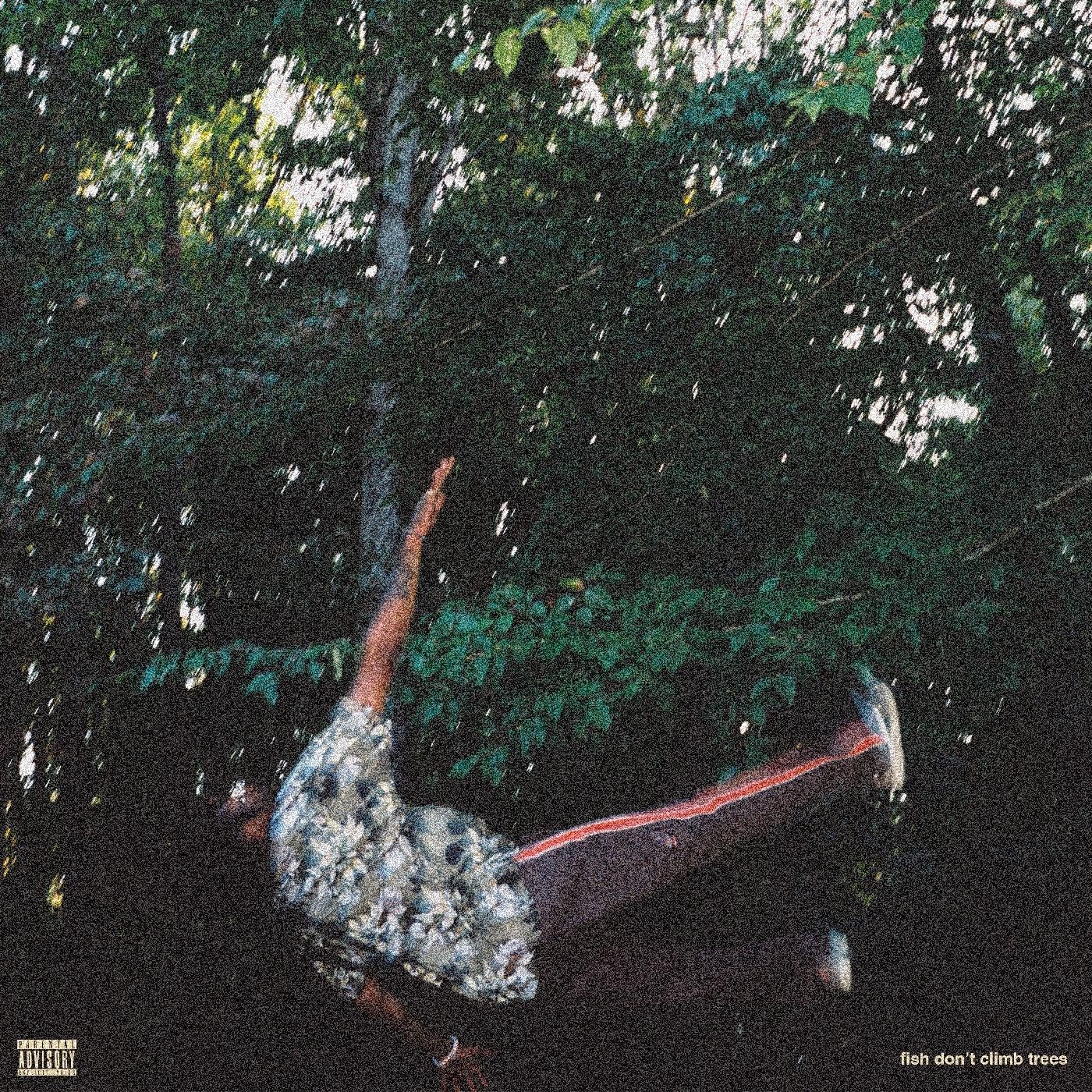 Fish Dont Climb Trees [VINYL]