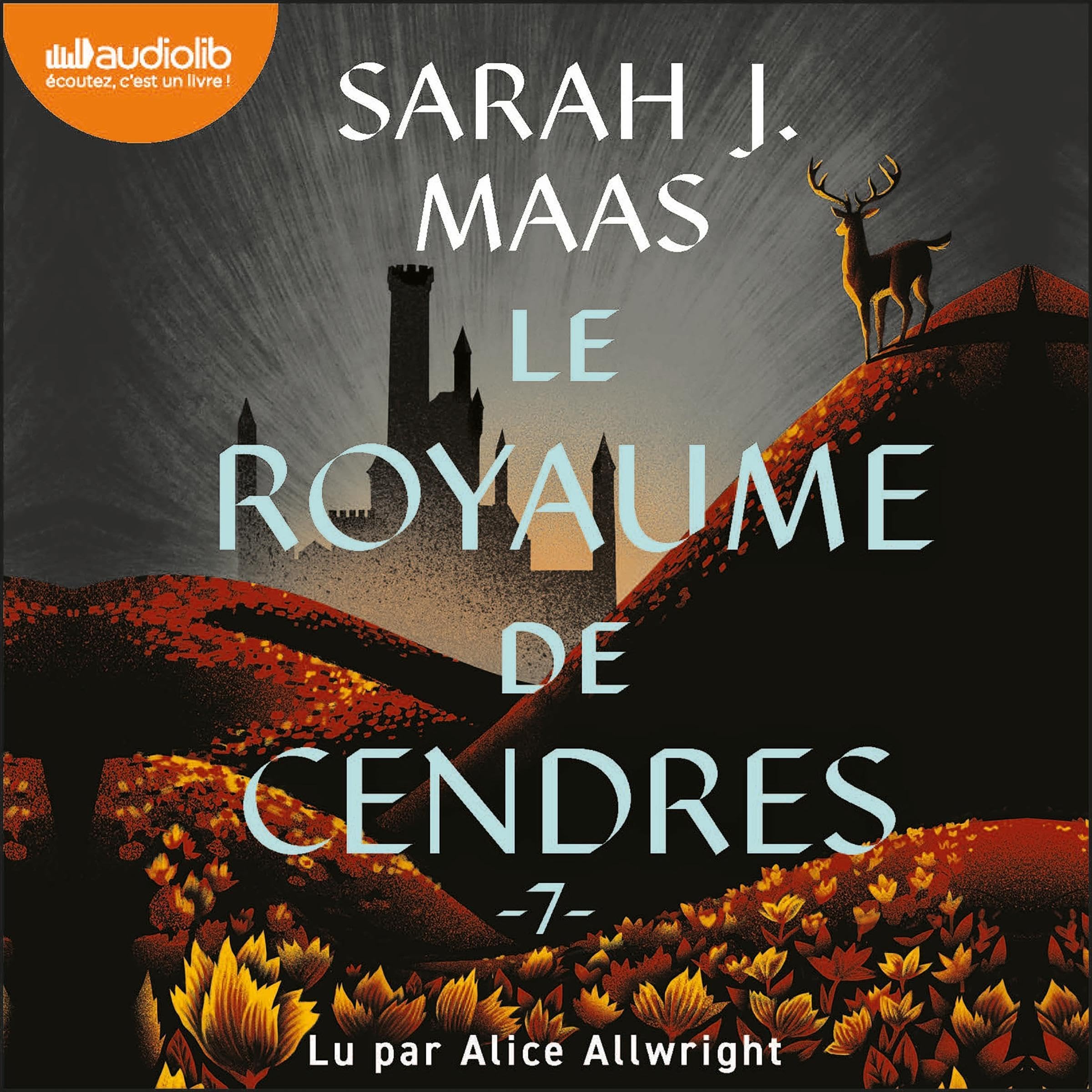 Cover art for Le Royaume de cendres