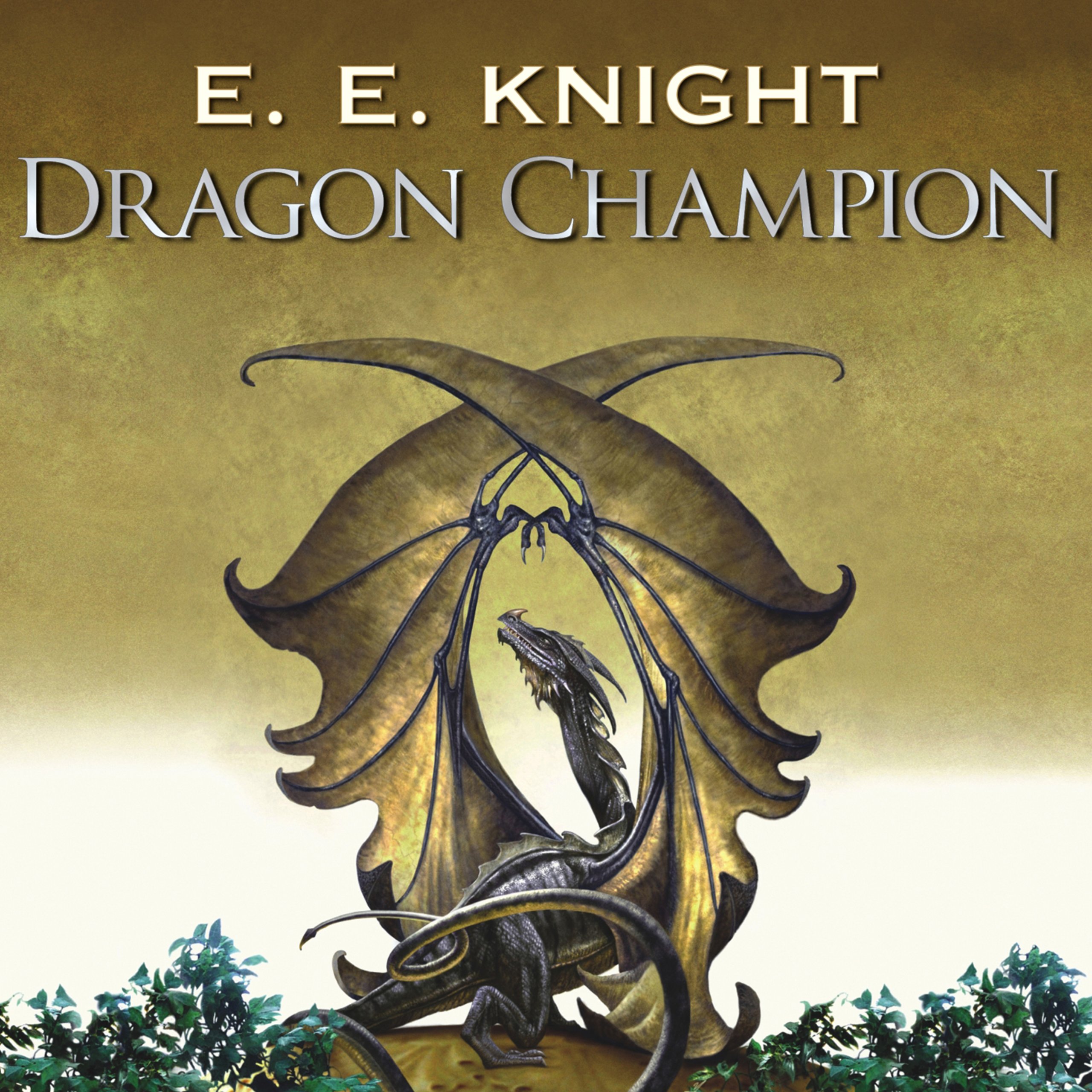 Cover art for Dragon Champion