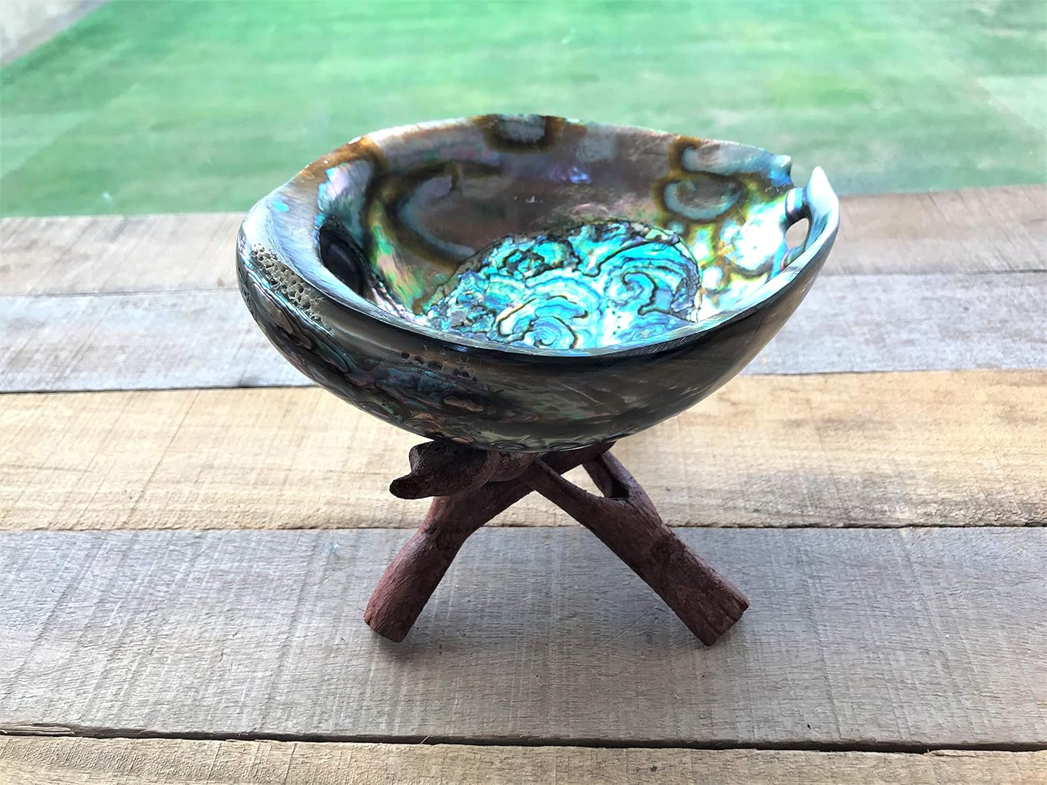 | Polished Blue Abalone with Stand | 6-7" | Sage Burner | Incense Holder