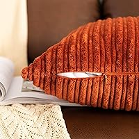 Vista 192 de UGASA - Juego de 2 fundas de almohada de terciopelo a rayas, funda decorativa para cojín con cremallera oculta para el hogar, sofá, dormitorio