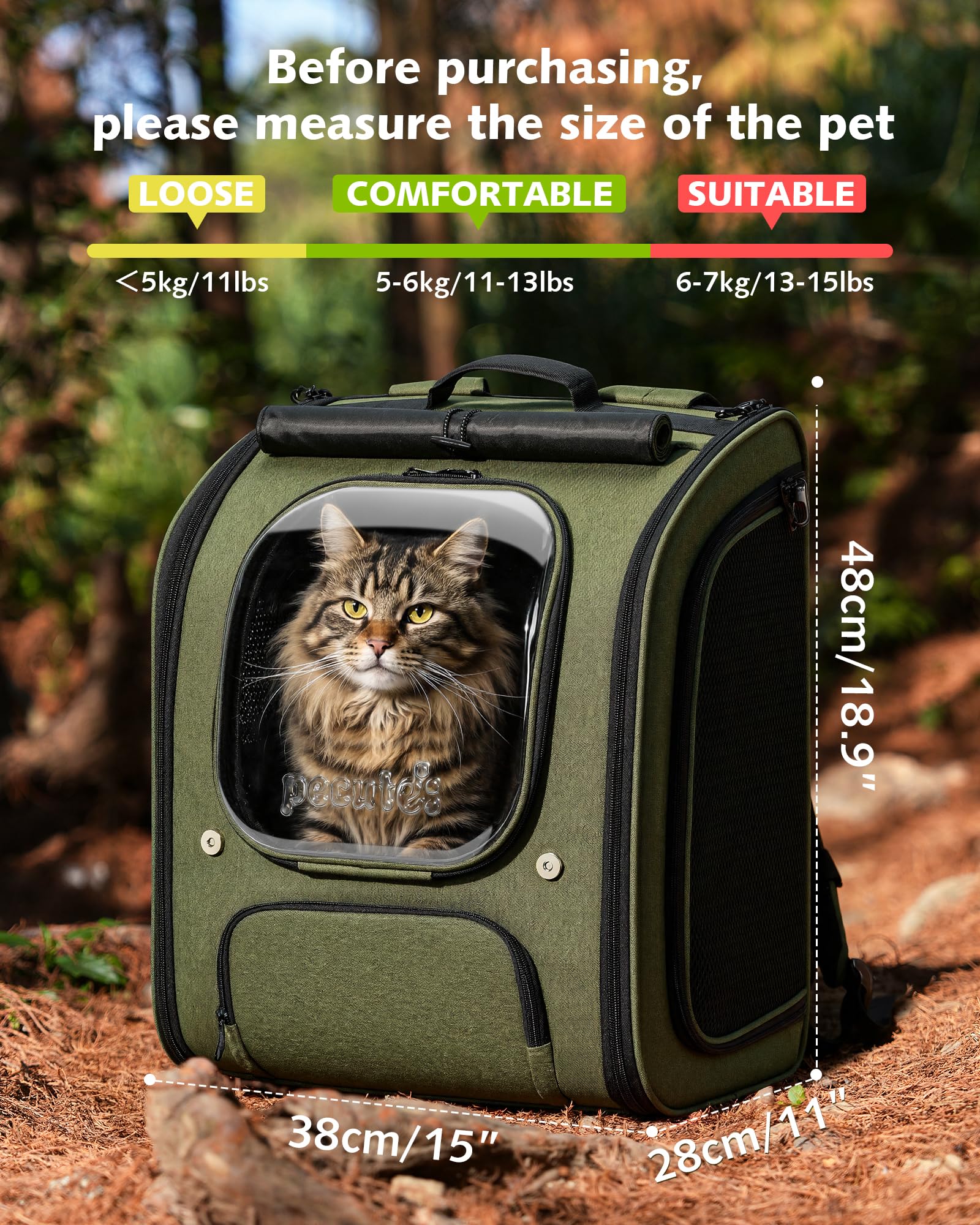 https://m.media-amazon.com/images/I/91zKd7ZbzCL.jpg
