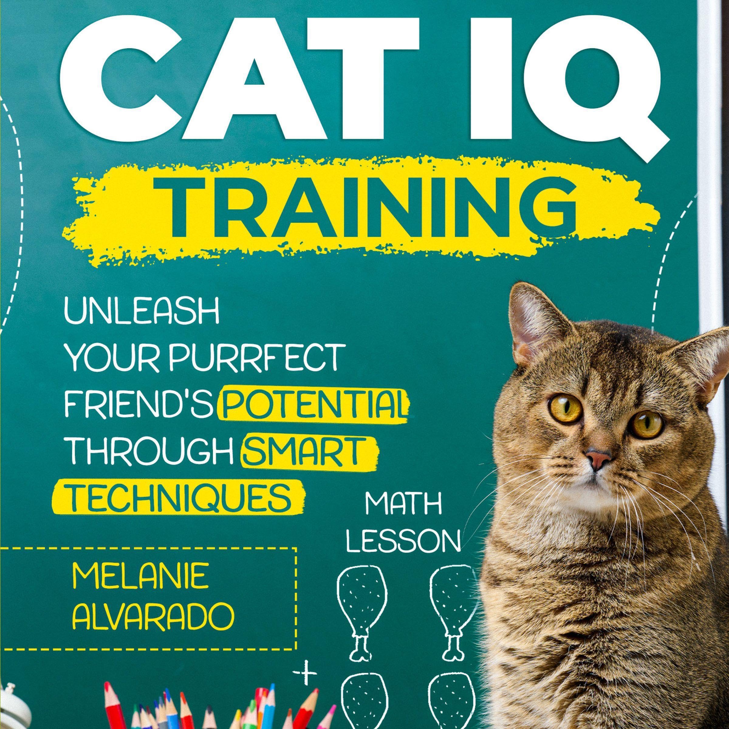 Cat IQ Training