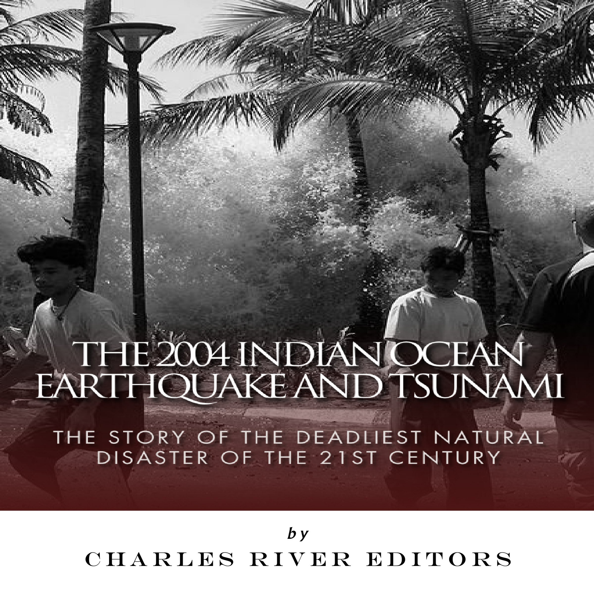 Cover art for The 2004 Indian Ocean Earthquake and Tsunami