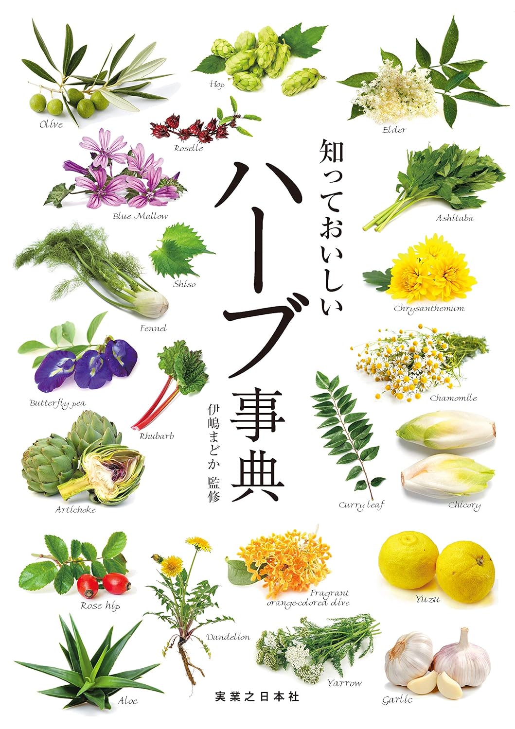 Maybe Delicious Herbs Dictionary 9784408338361 伊嶋 まどか Libros